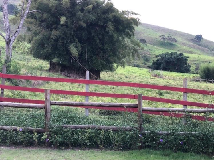 Vivenda dos Guaranys -Um projeto ecológico - Casa
