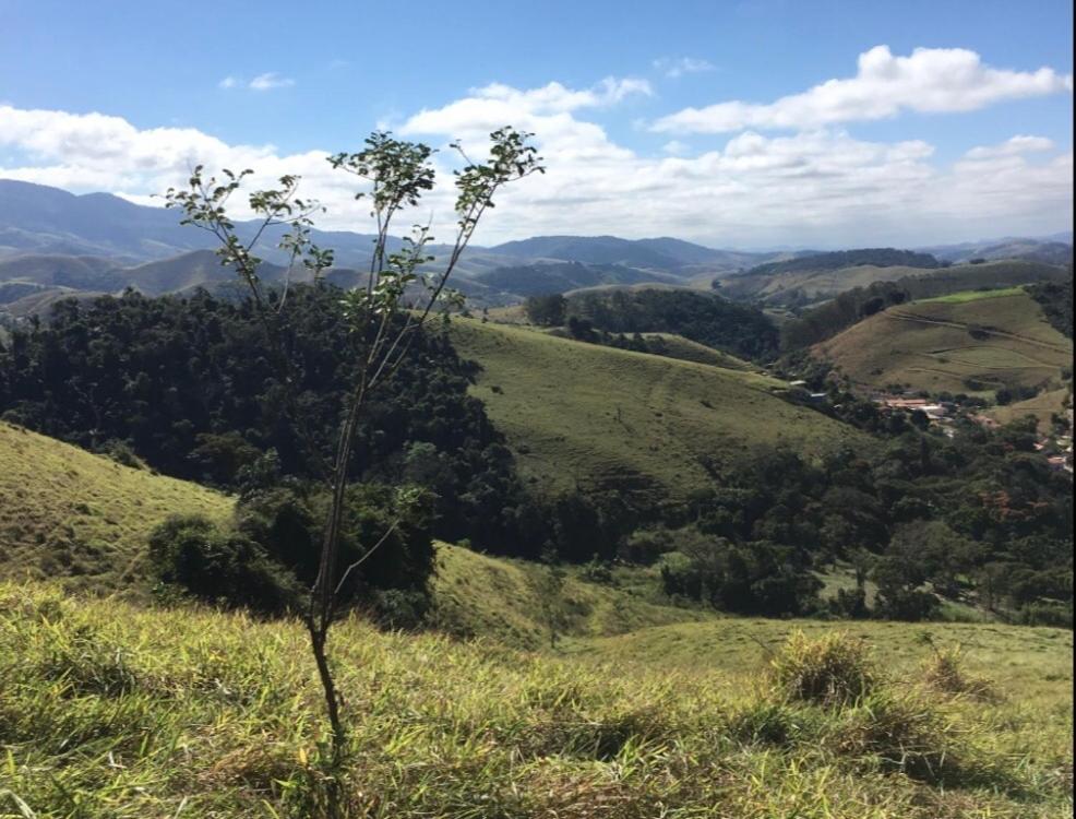 Vivenda dos Guaranys -Um projeto ecológico - Casa
