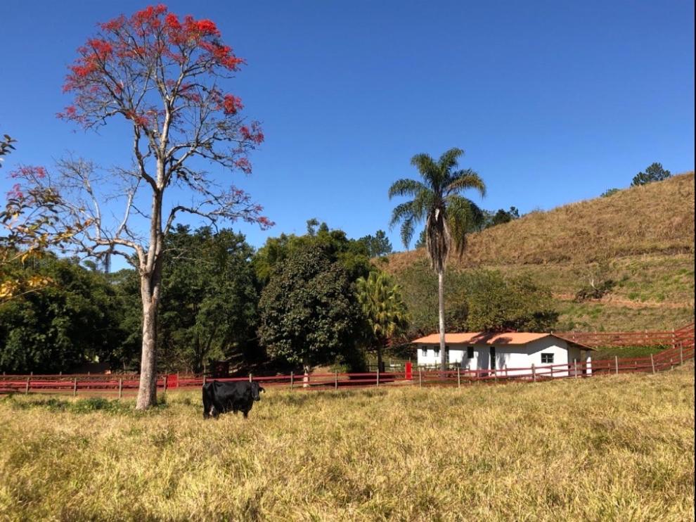 Vivenda dos Guaranys -Um projeto ecológico - Casa