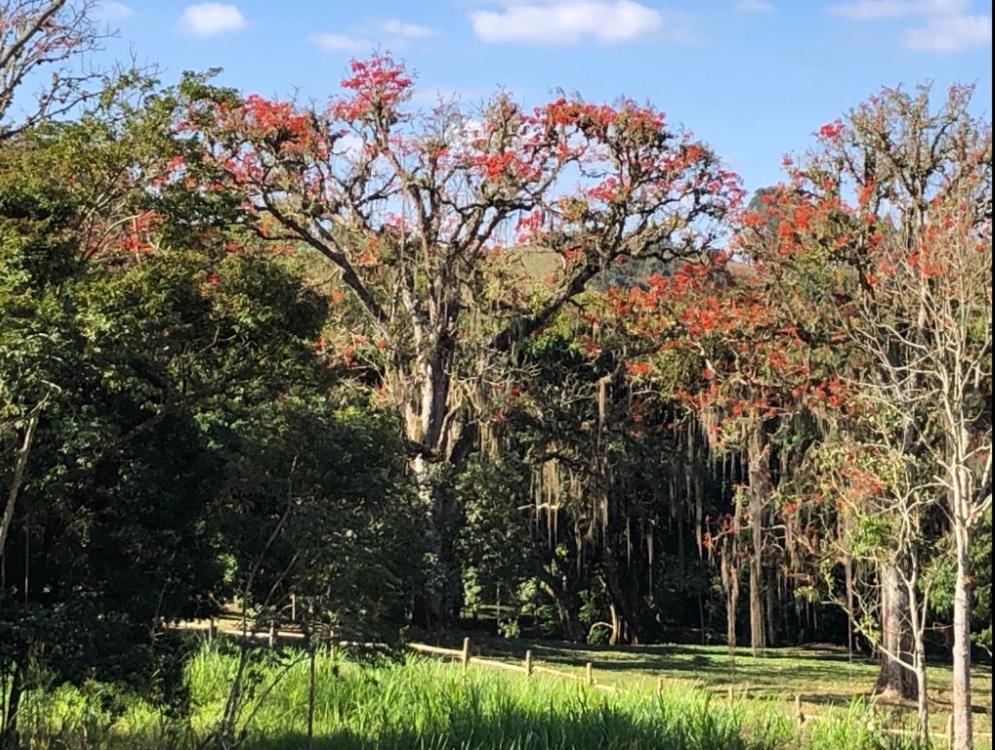 Vivenda dos Guaranys -Um projeto ecológico - Casa