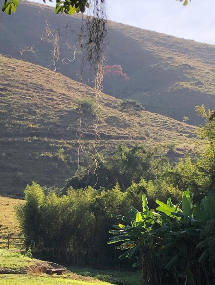 Vivenda dos Guaranys -Um projeto ecológico - Casa