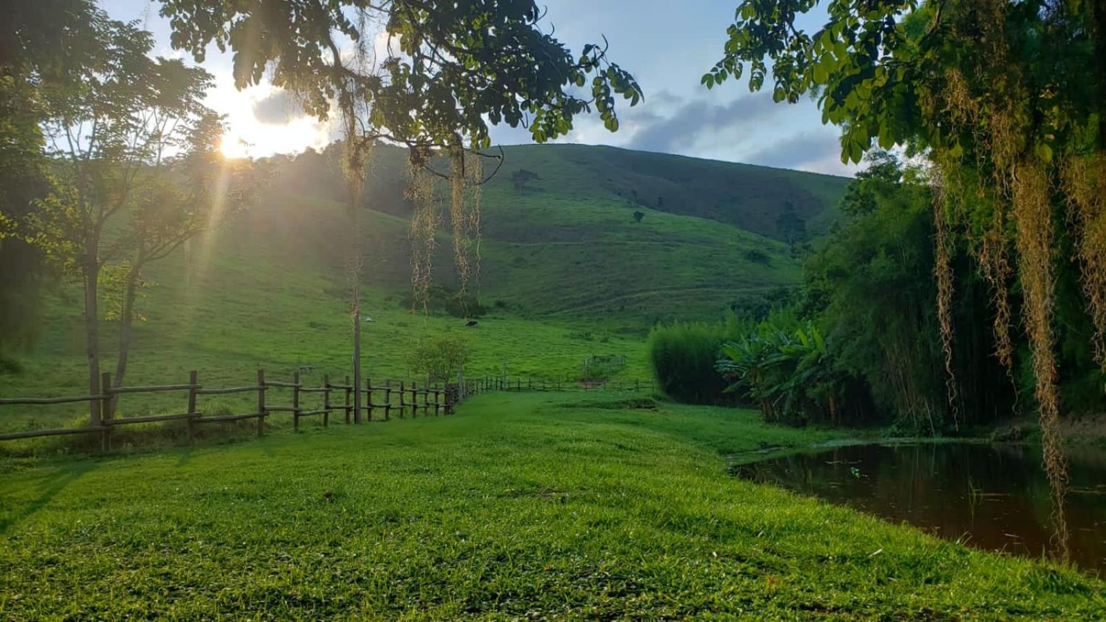 Vivenda dos Guaranys -Um projeto ecológico - Casa