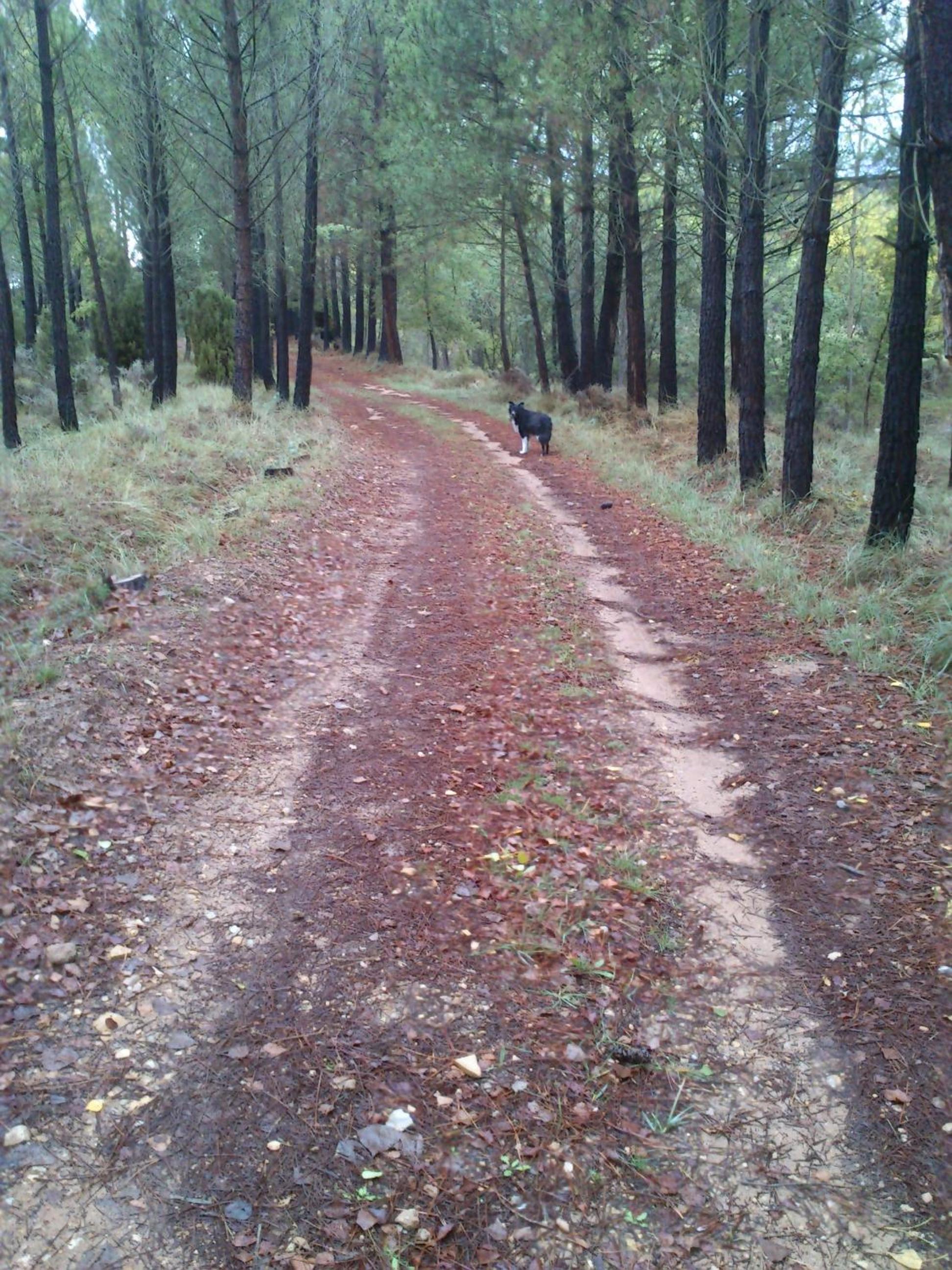 Photo 28