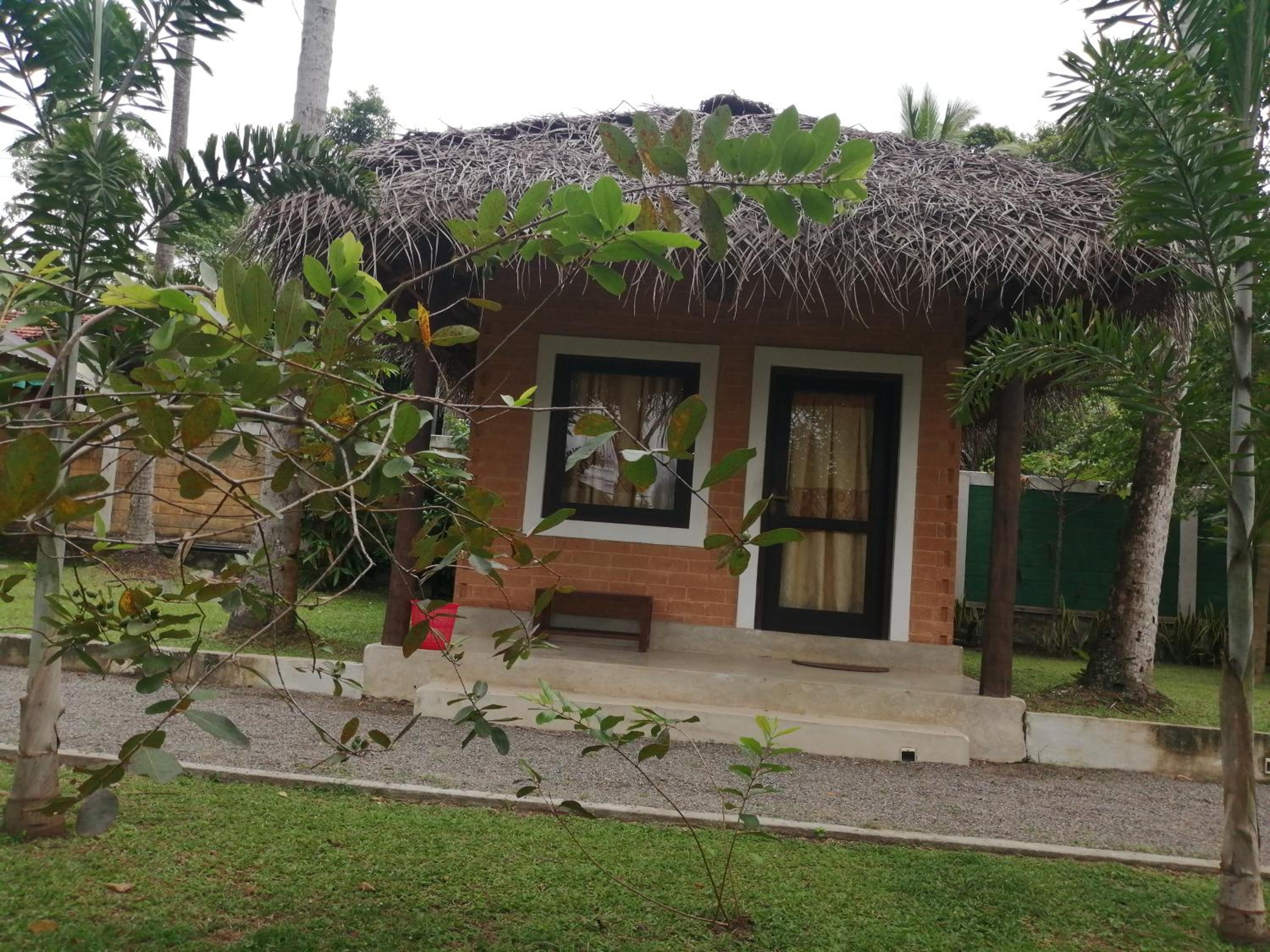 airport eco cottage view 5