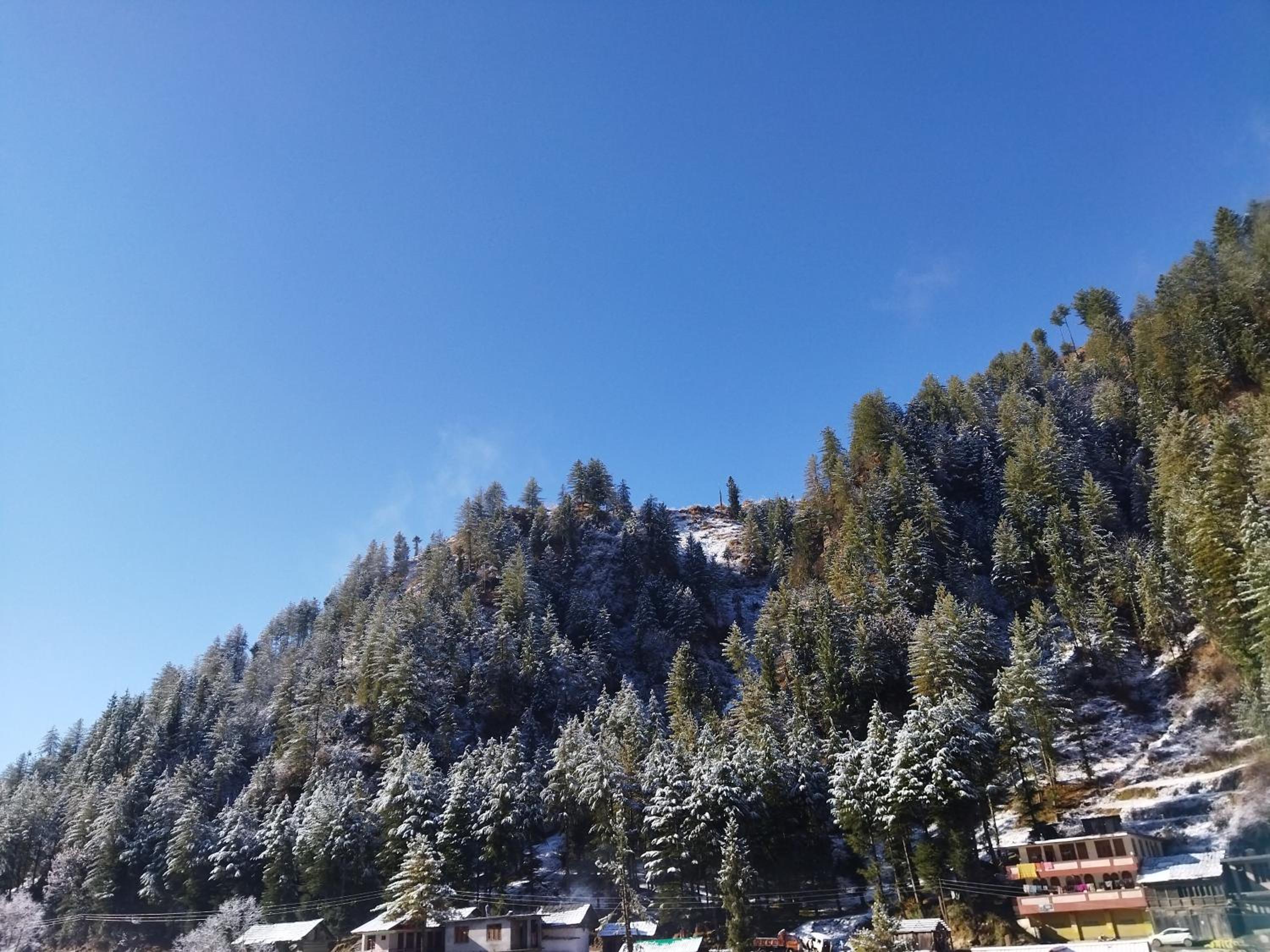 Orange sky home stay gadaGushaini near jibhi view 5