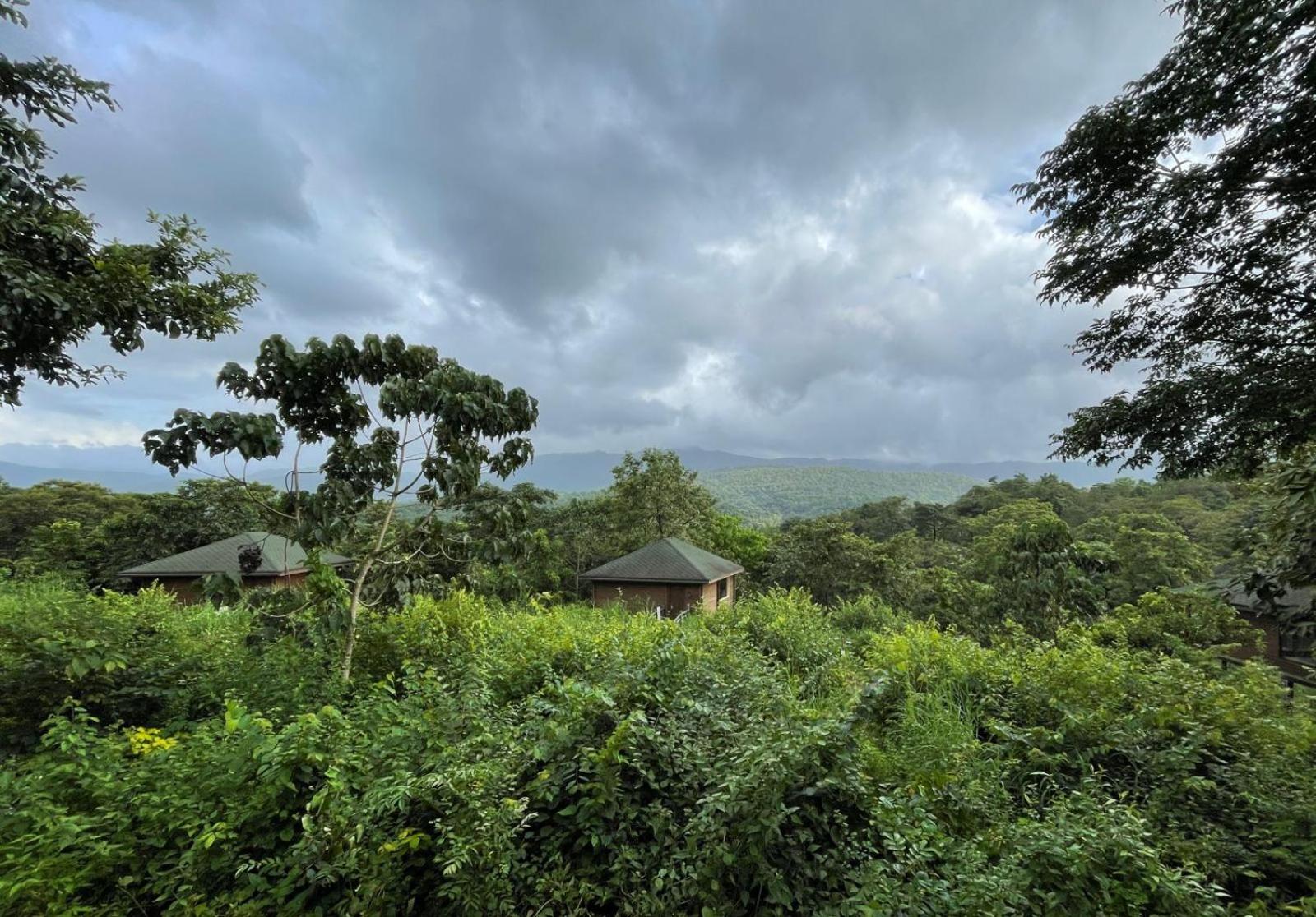 The Postcard Hideaway, Netravali Wildlife Sanctuary, South Goa