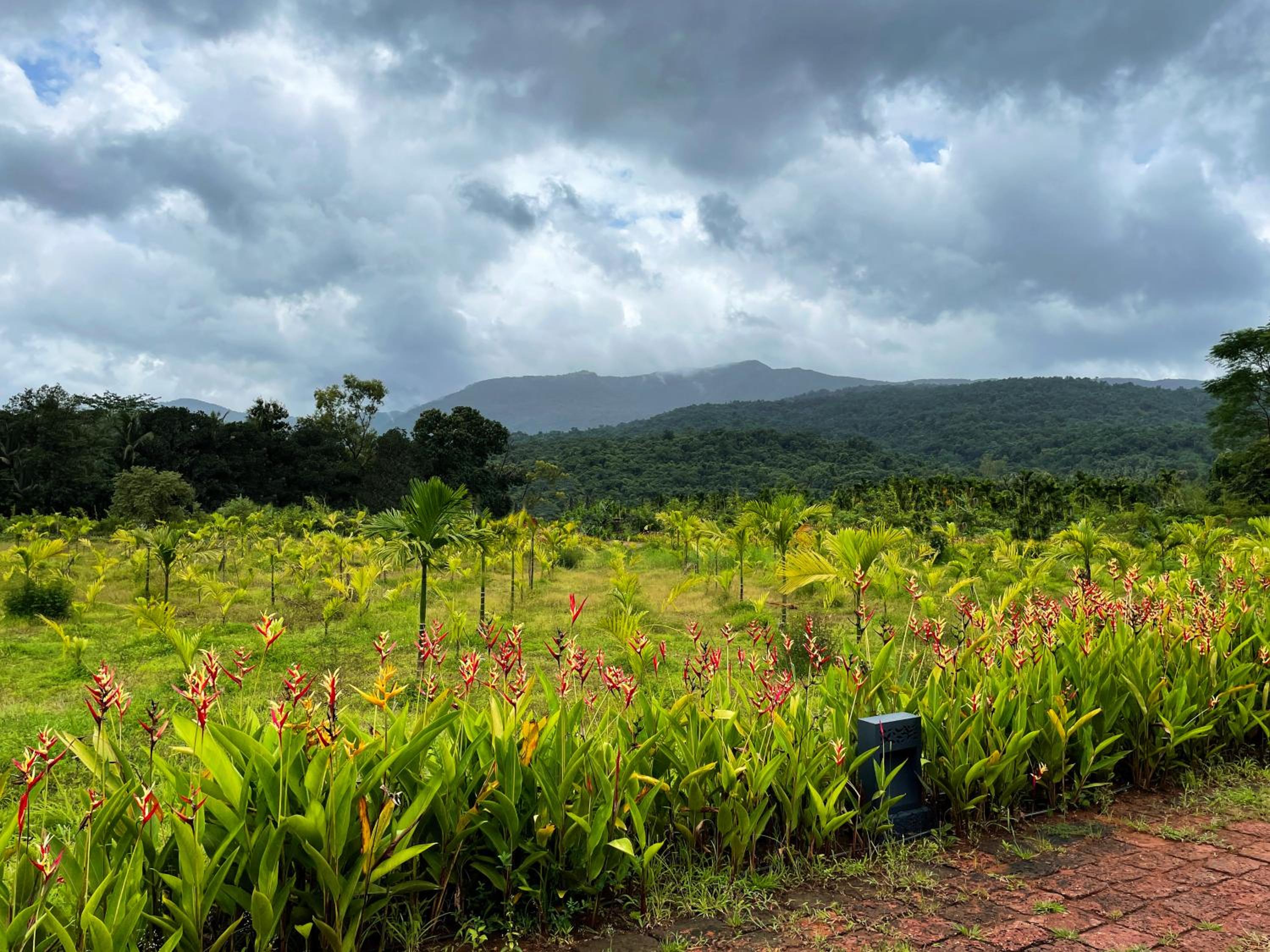 The Postcard Hideaway, Netravali Wildlife Sanctuary, South Goa