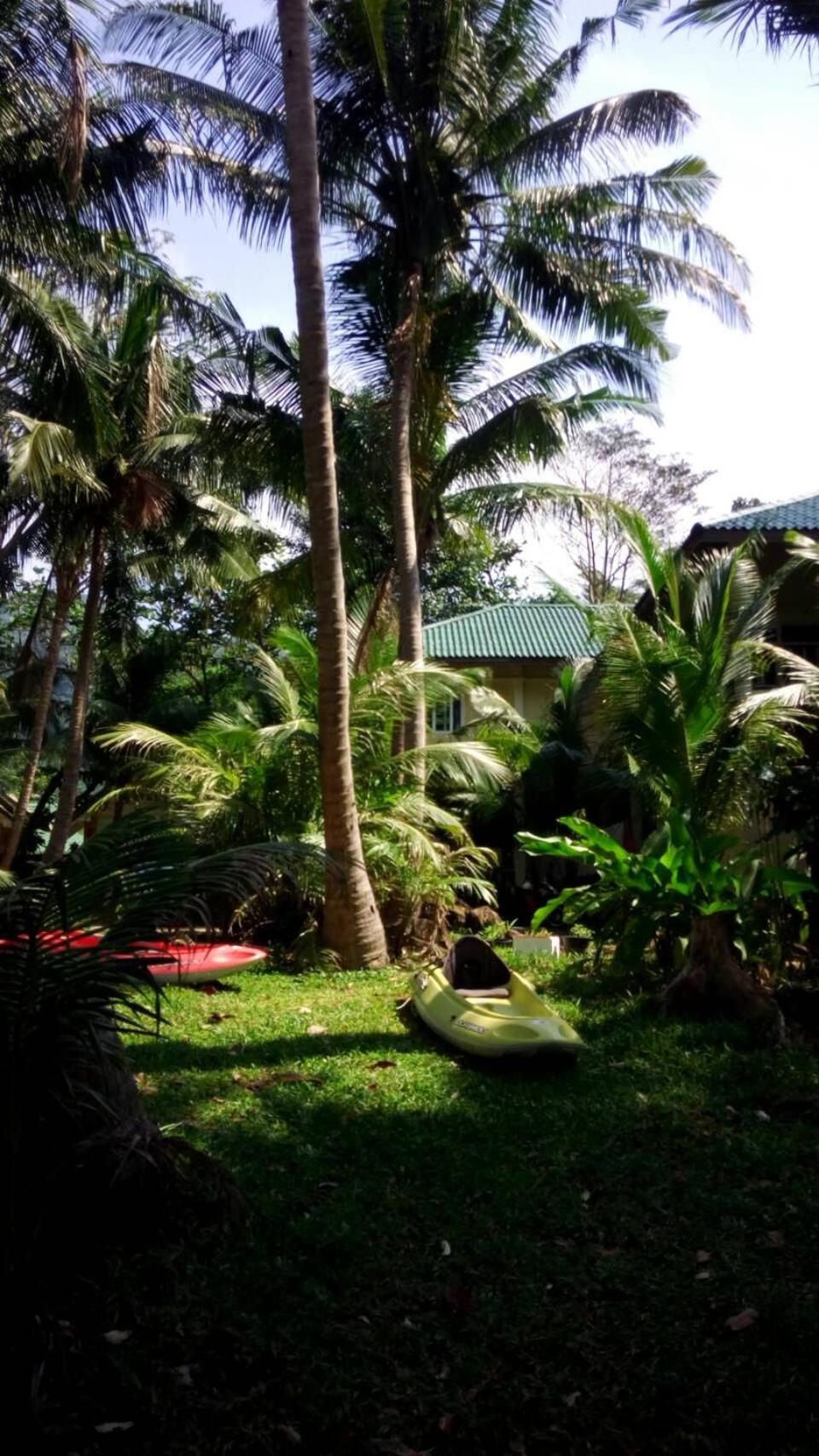 Photo 43