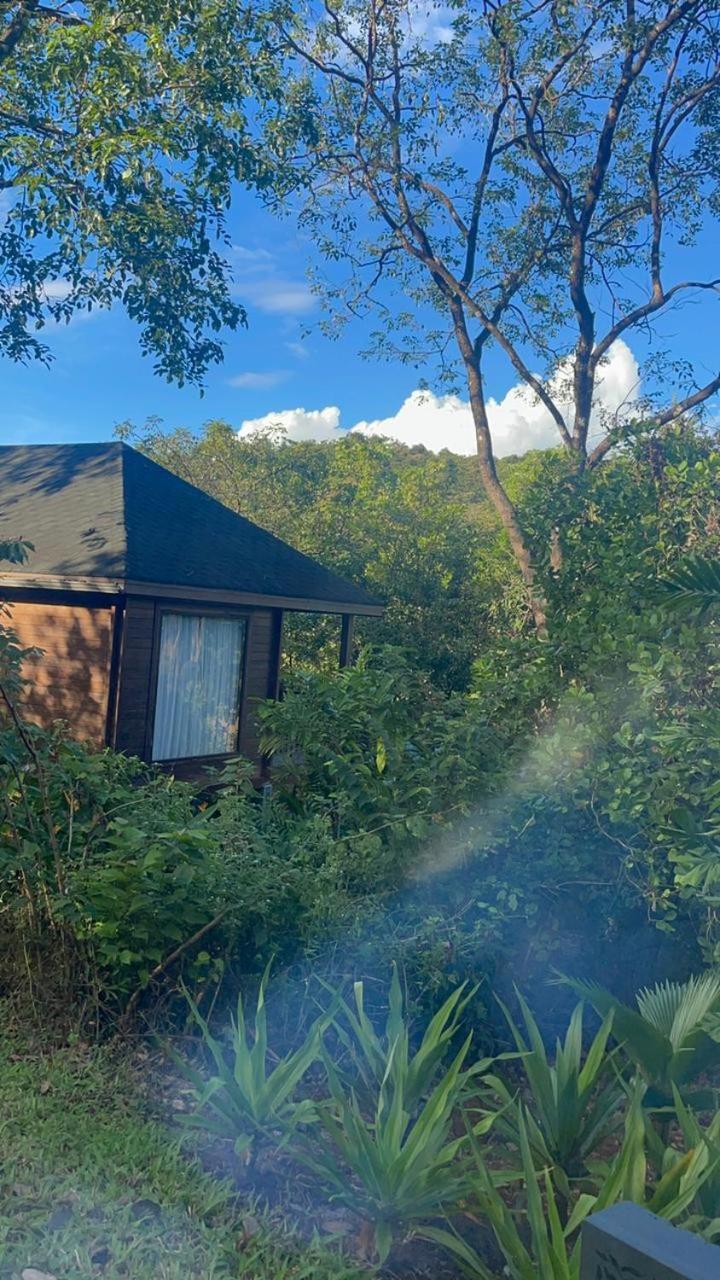 The Postcard Hideaway, Netravali Wildlife Sanctuary, South Goa