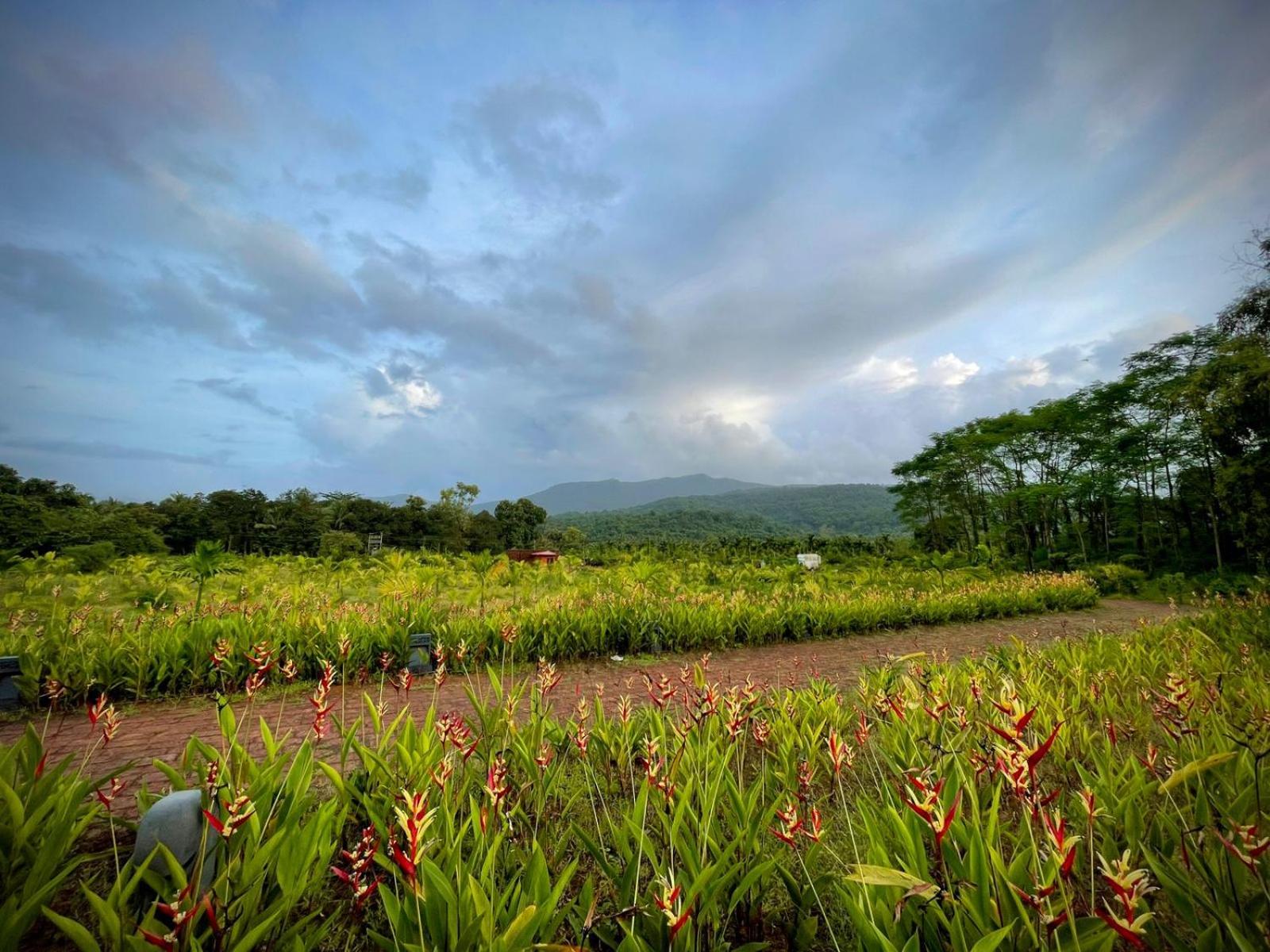The Postcard Hideaway, Netravali Wildlife Sanctuary, South Goa