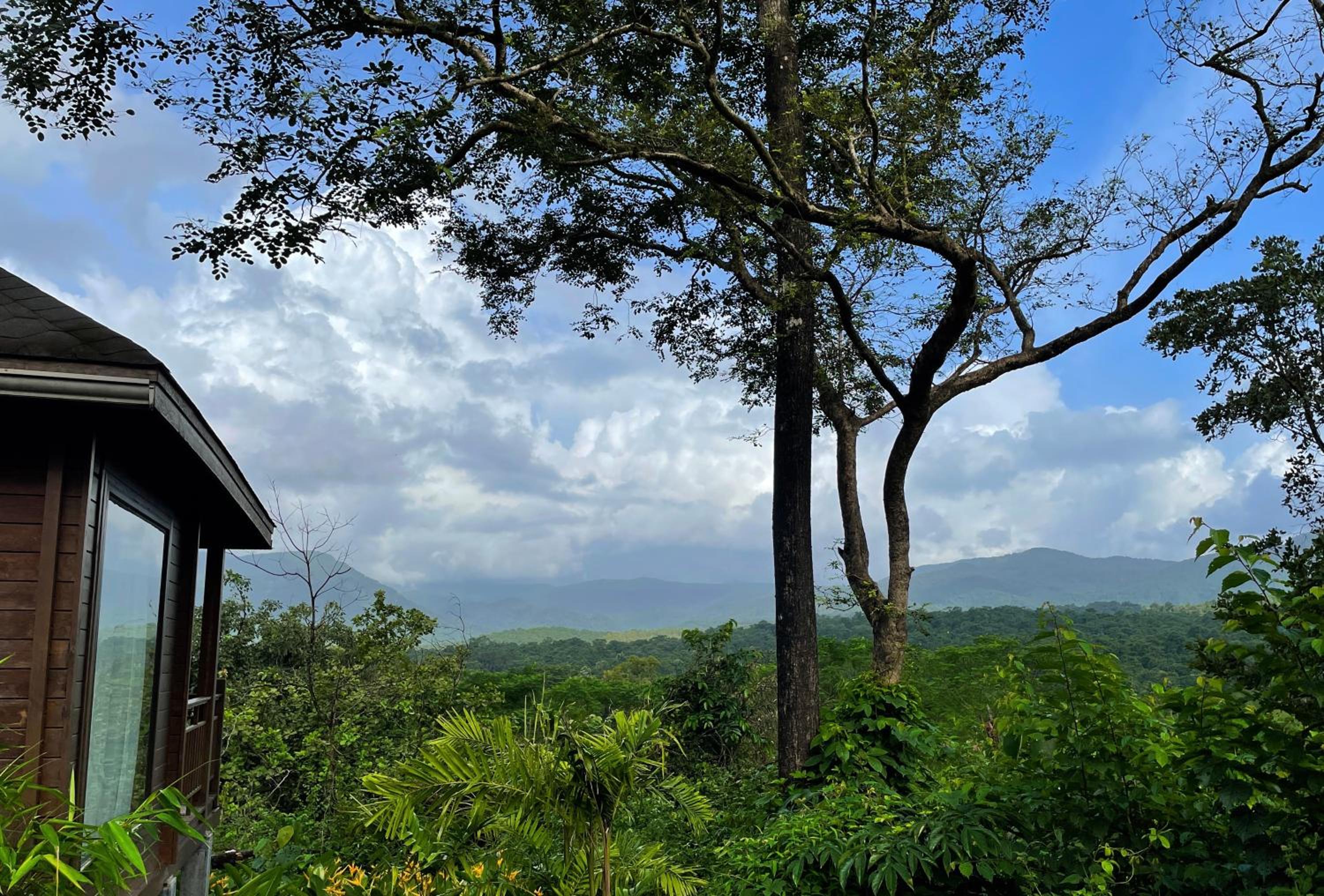 The Postcard Hideaway, Netravali Wildlife Sanctuary, South Goa