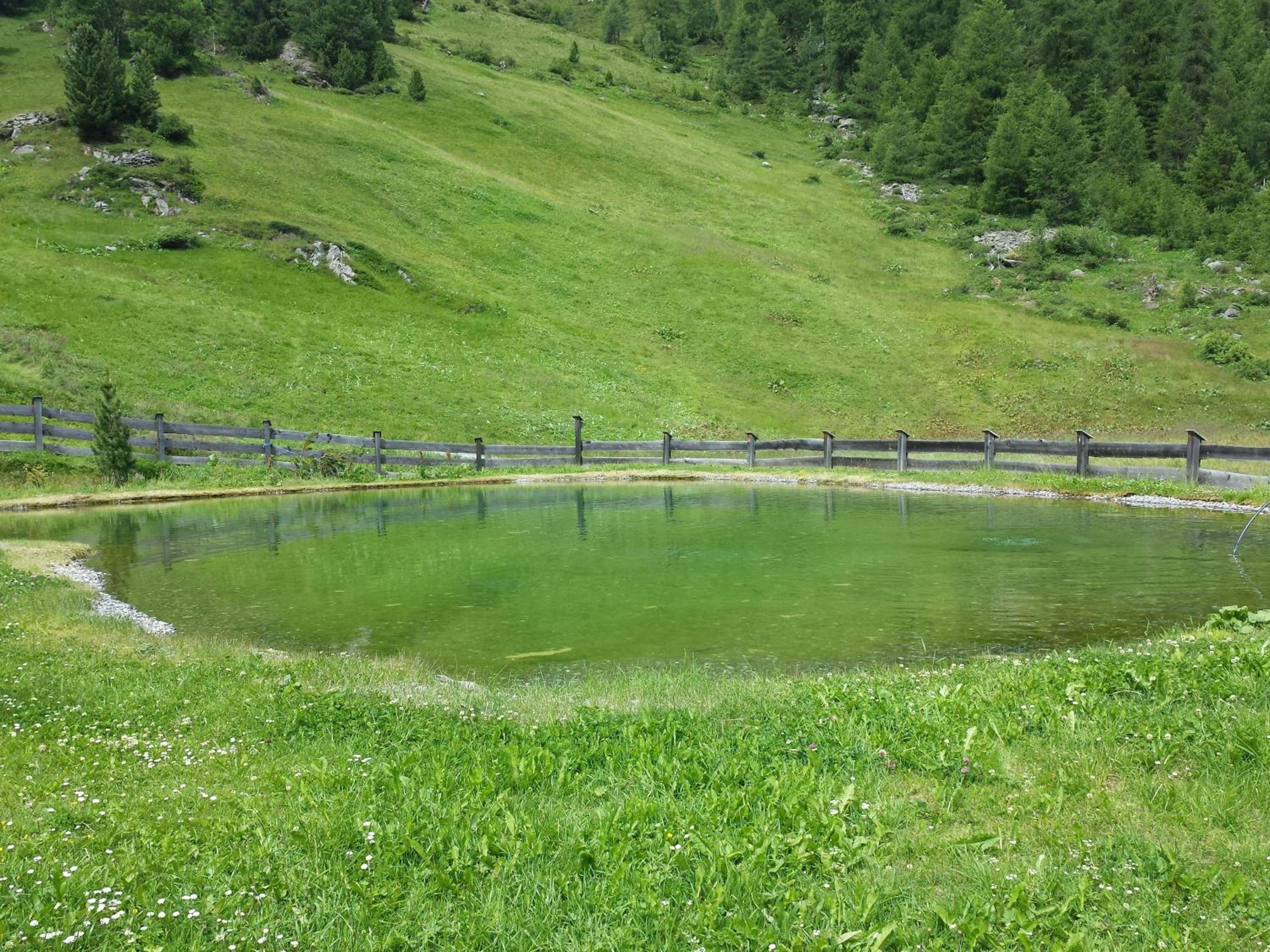 Alt Poschach view 4
