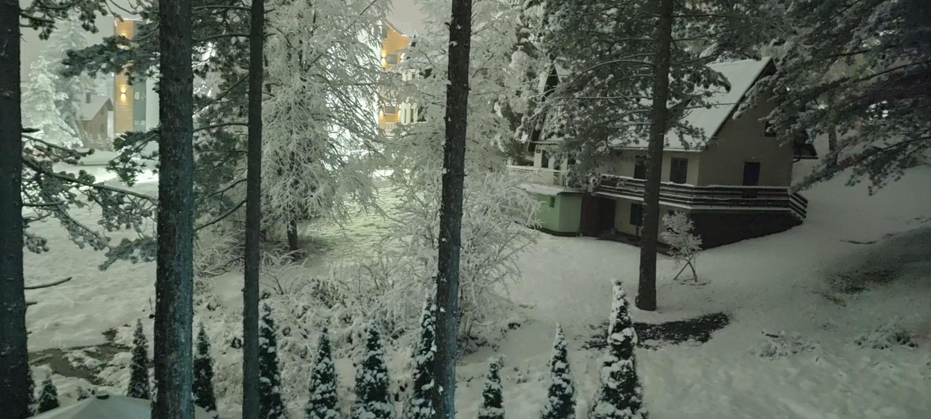 Photo 42