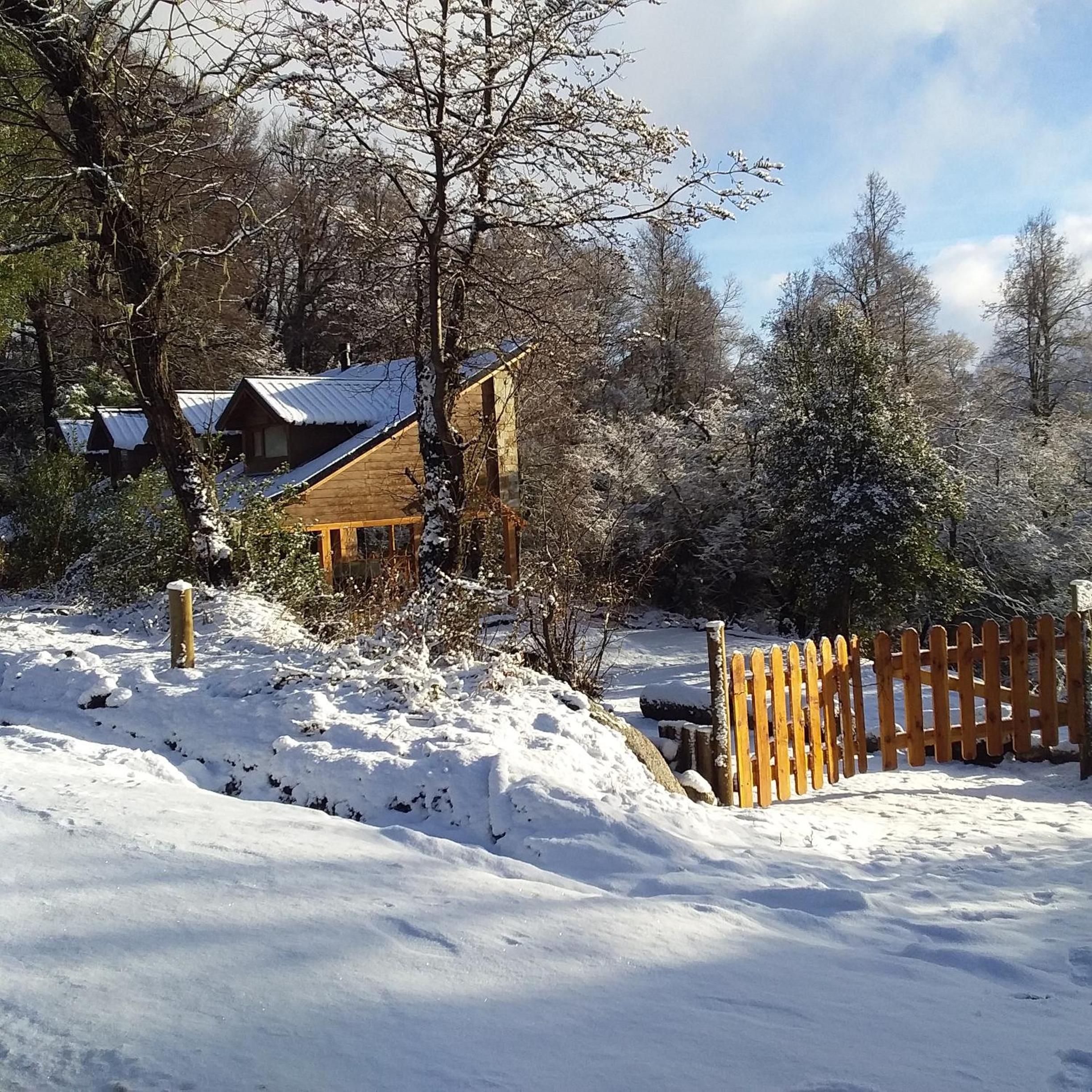 Reina Mora, Reserva Patagonica