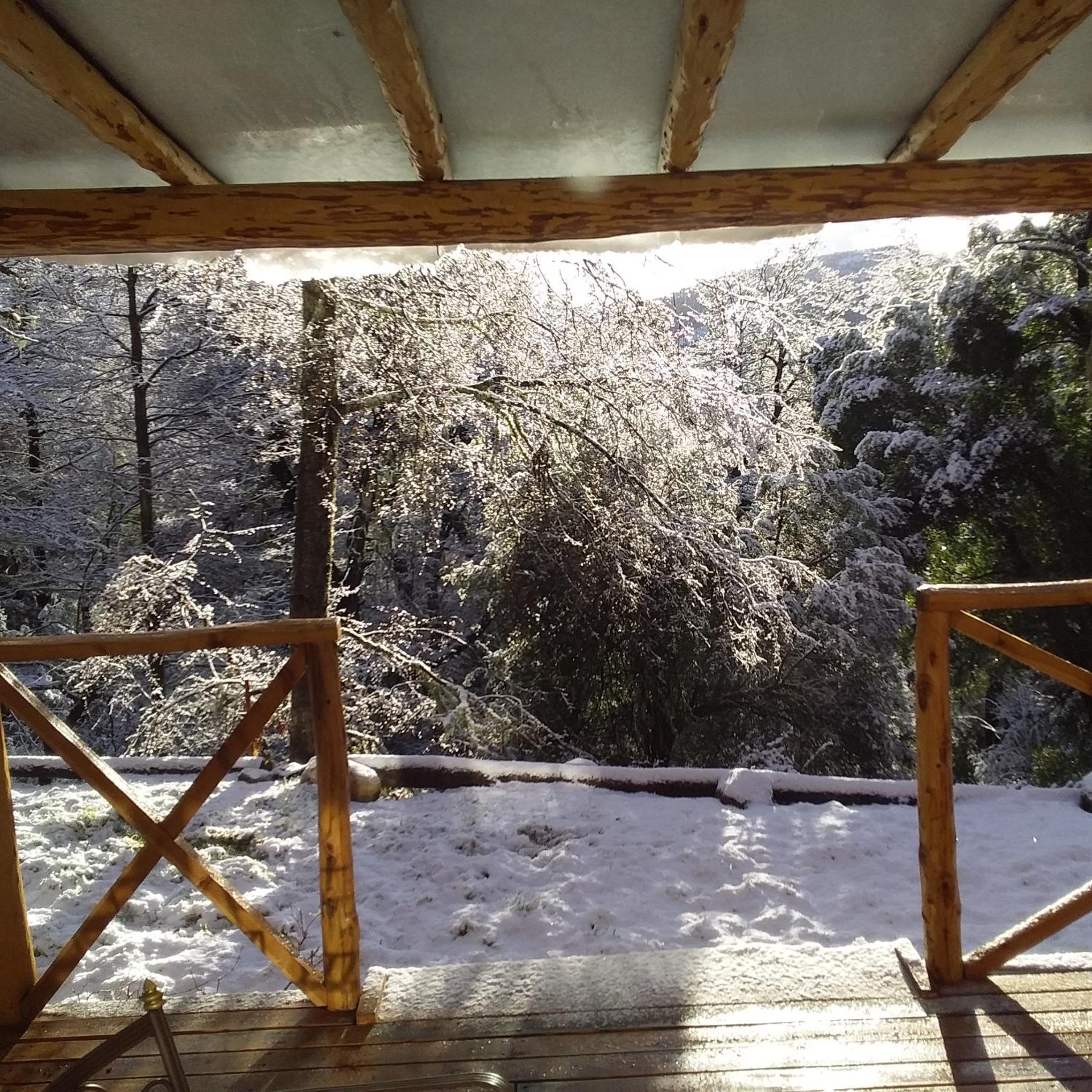 Reina Mora, Reserva Patagonica