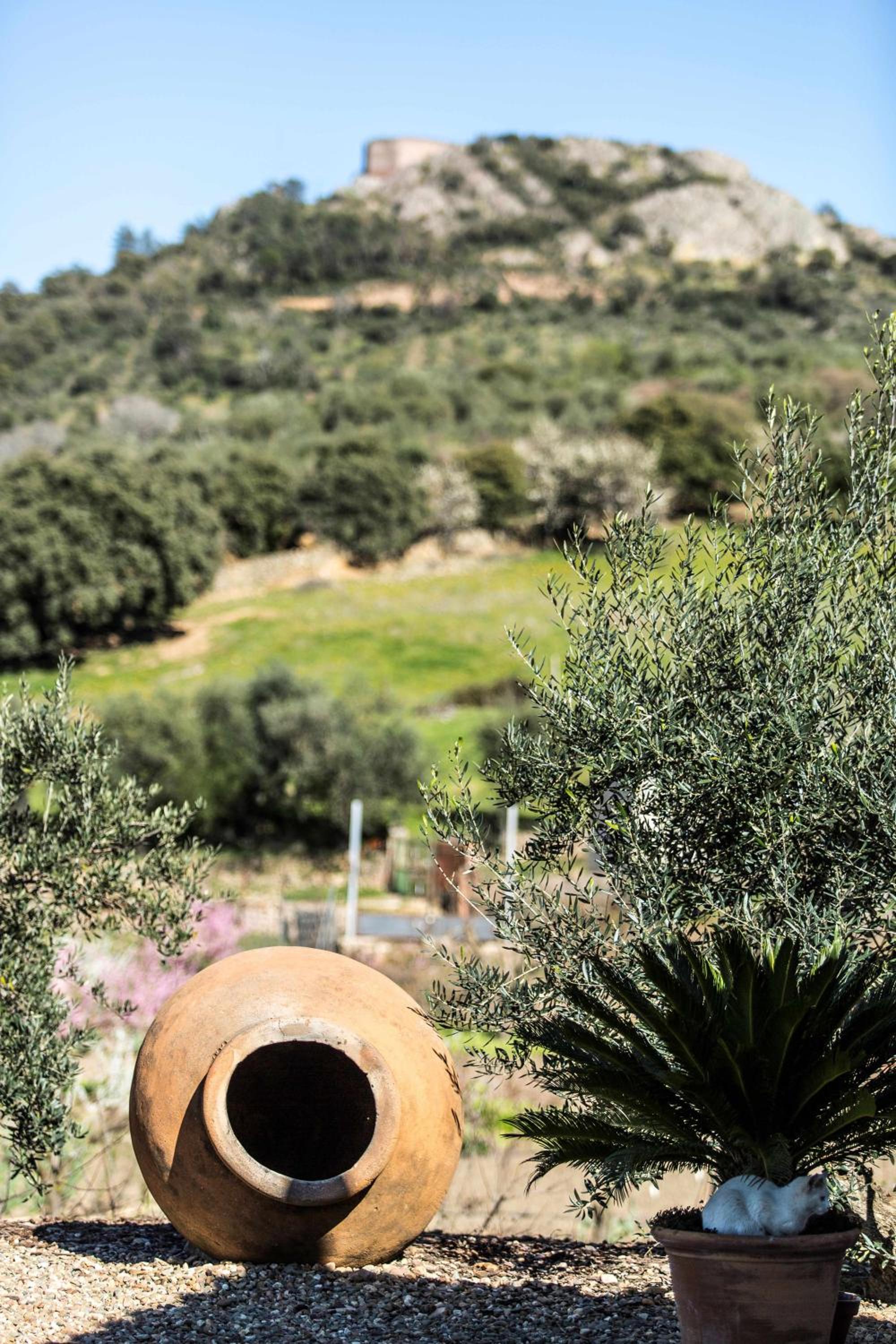 Casa Rural La Huerta de Los Nogales