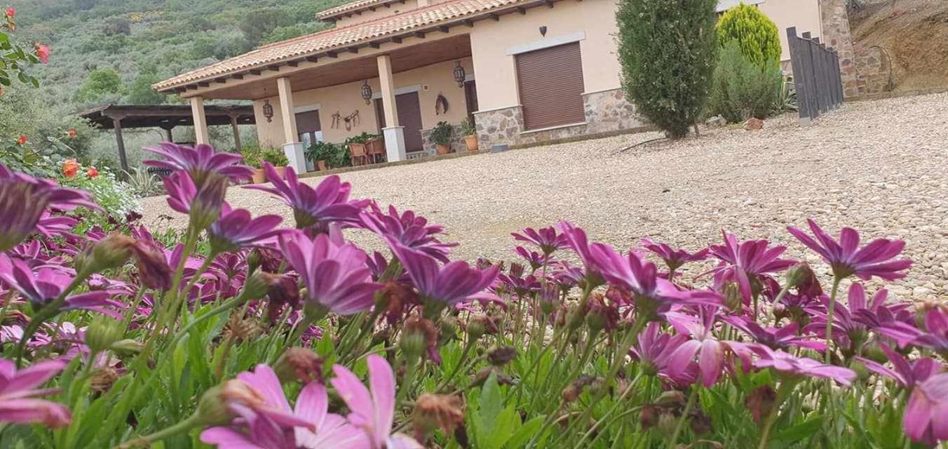 Casa Rural La Huerta de Los Nogales