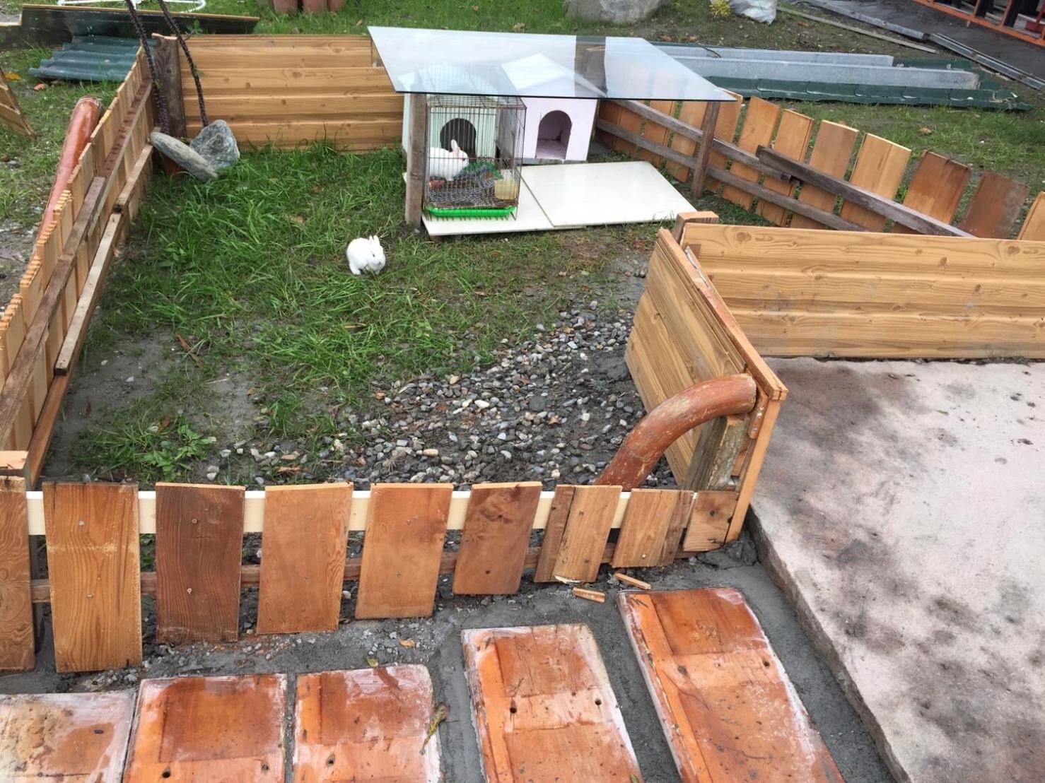 Photo 47