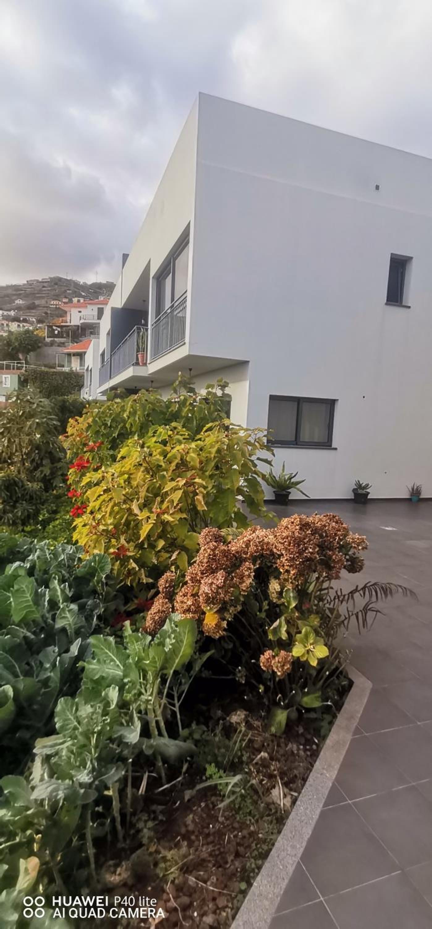 D Henriques House view 4