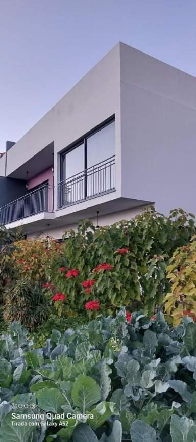 D Henriques House view 3