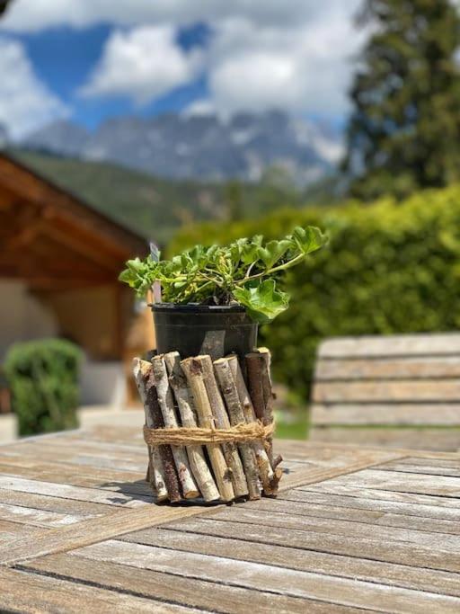 Das gemütliche Chalet im Bergdoktordorf Ellmau