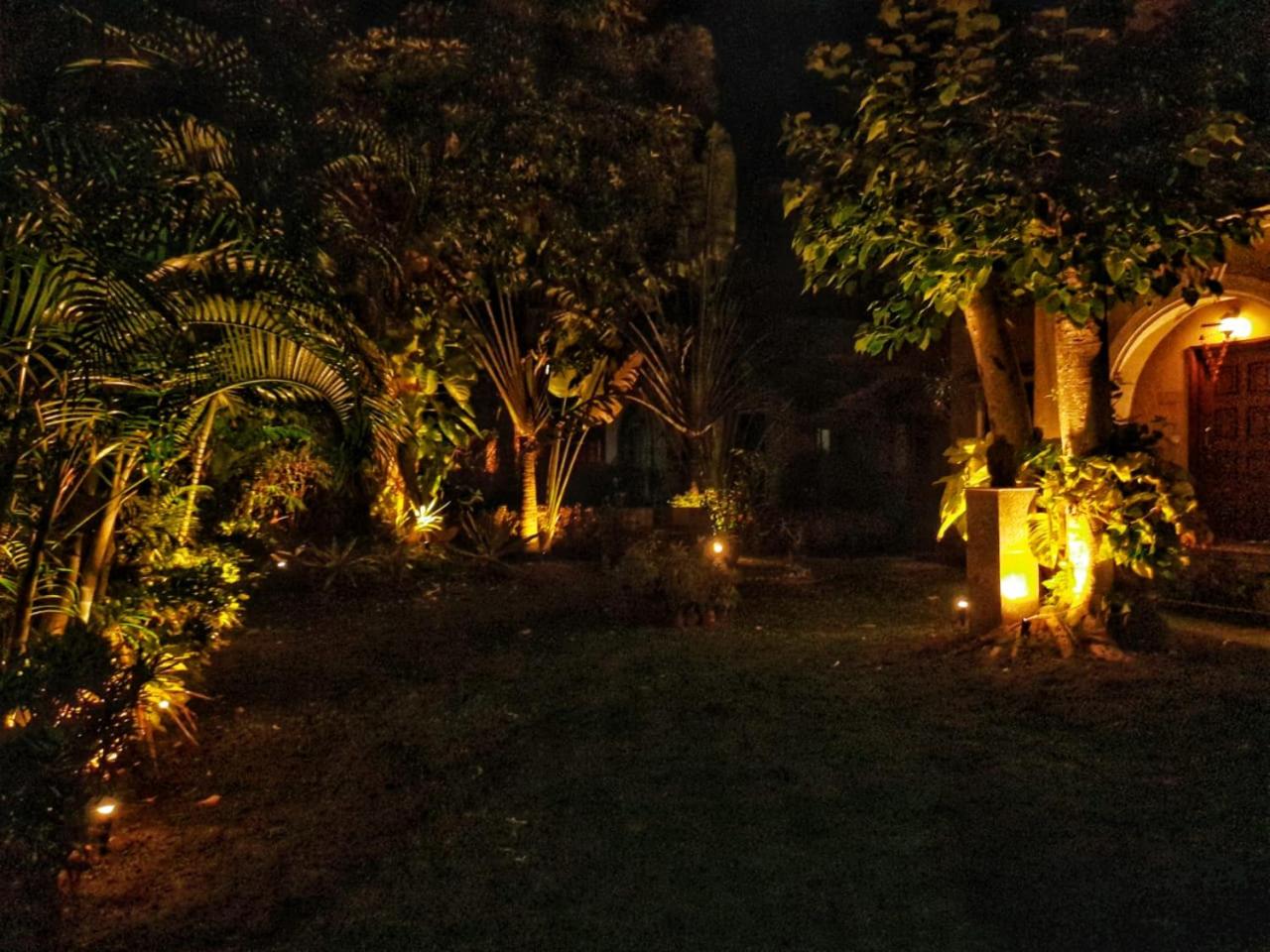 Gardenia 29 view 5