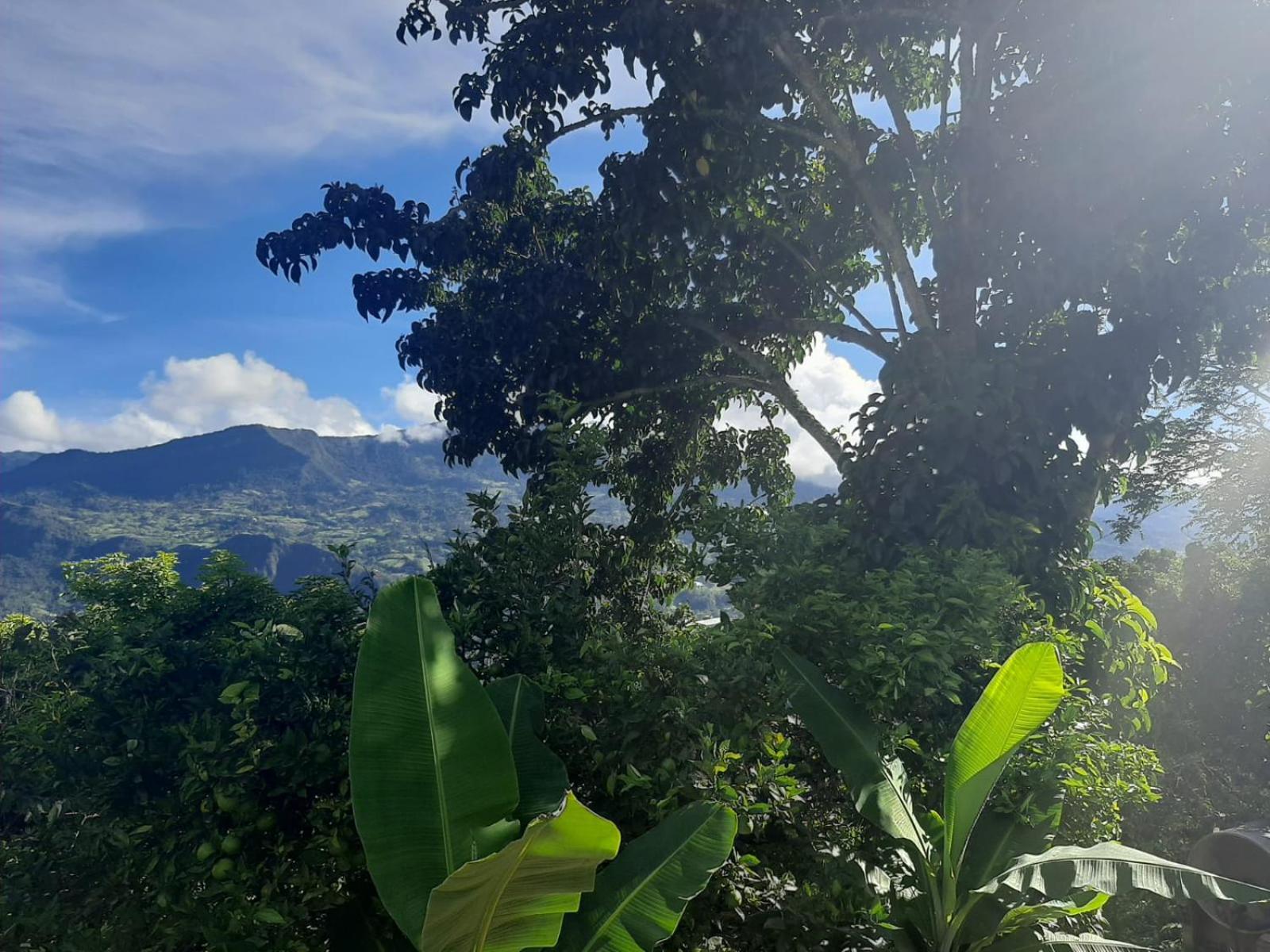 Finca Umnisa - Choachi