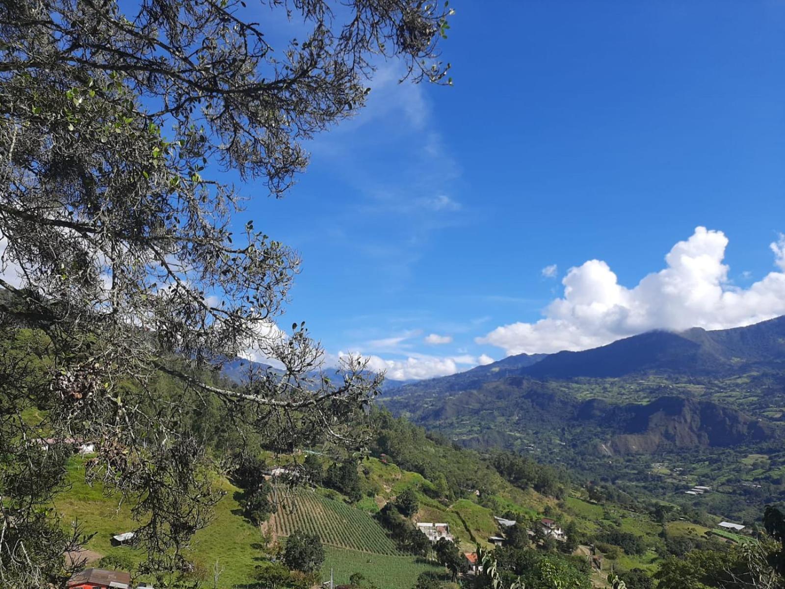 Finca Umnisa - Choachi