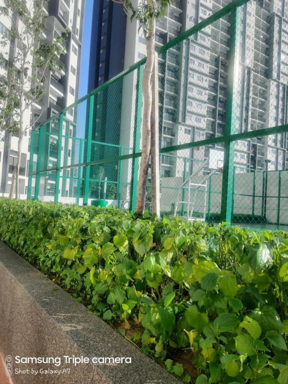 Photo 21