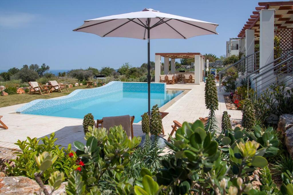 Entire Villa Phenomena view 2