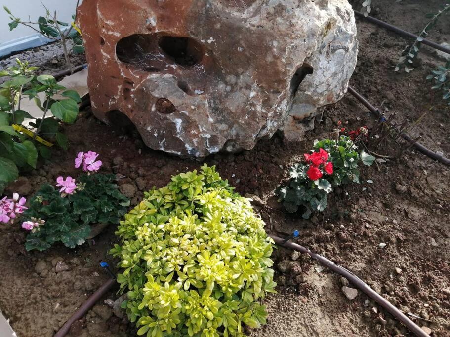 Entire Villa Phenomena view 3