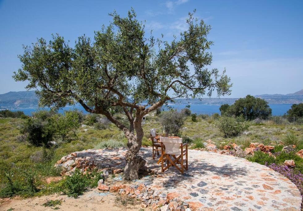 Entire Villa Phenomena view 5