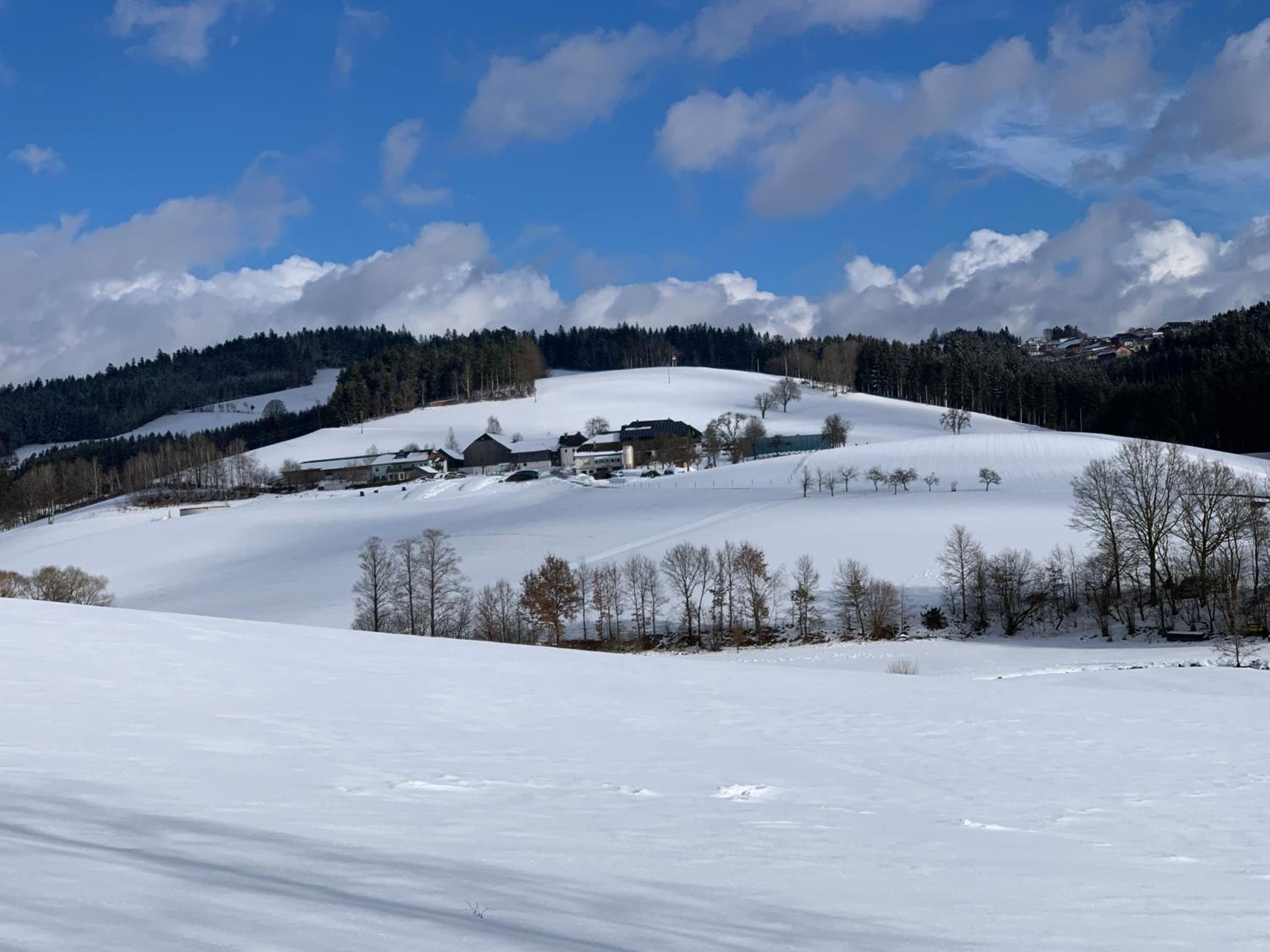 Ferienwohnung-Mühlviertel