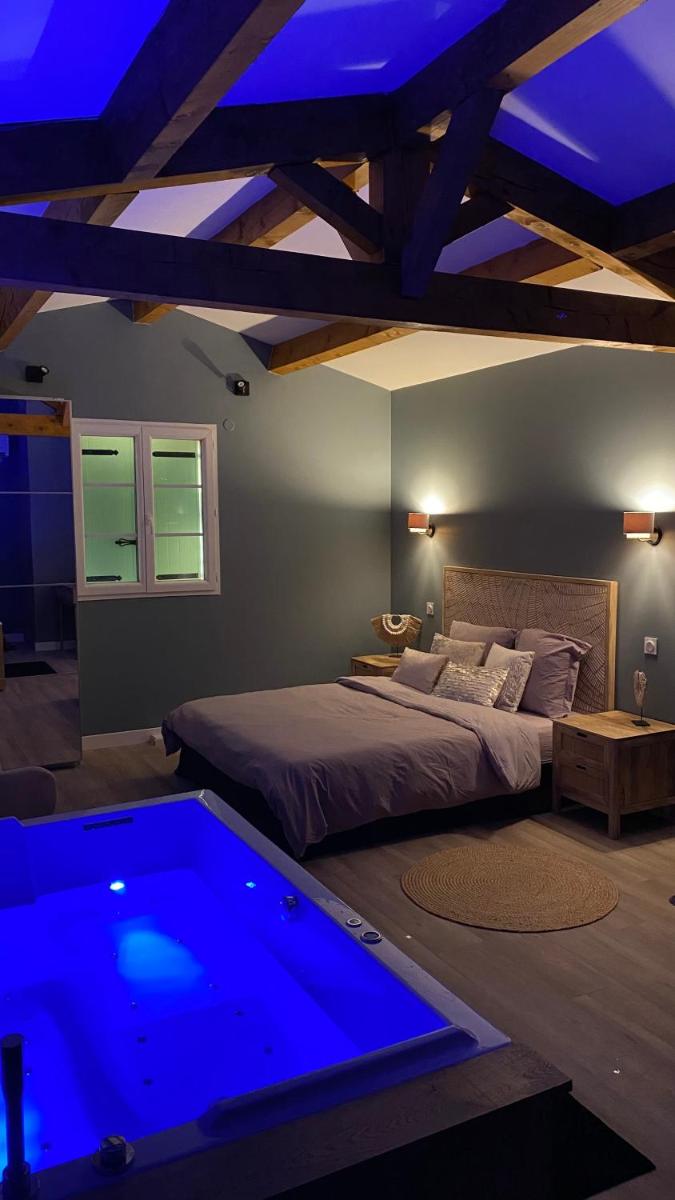 Montpellier Vacations - Mas Hinaiti - Suite romantique avec Spa et ecran geant de cinema - Property Image 25