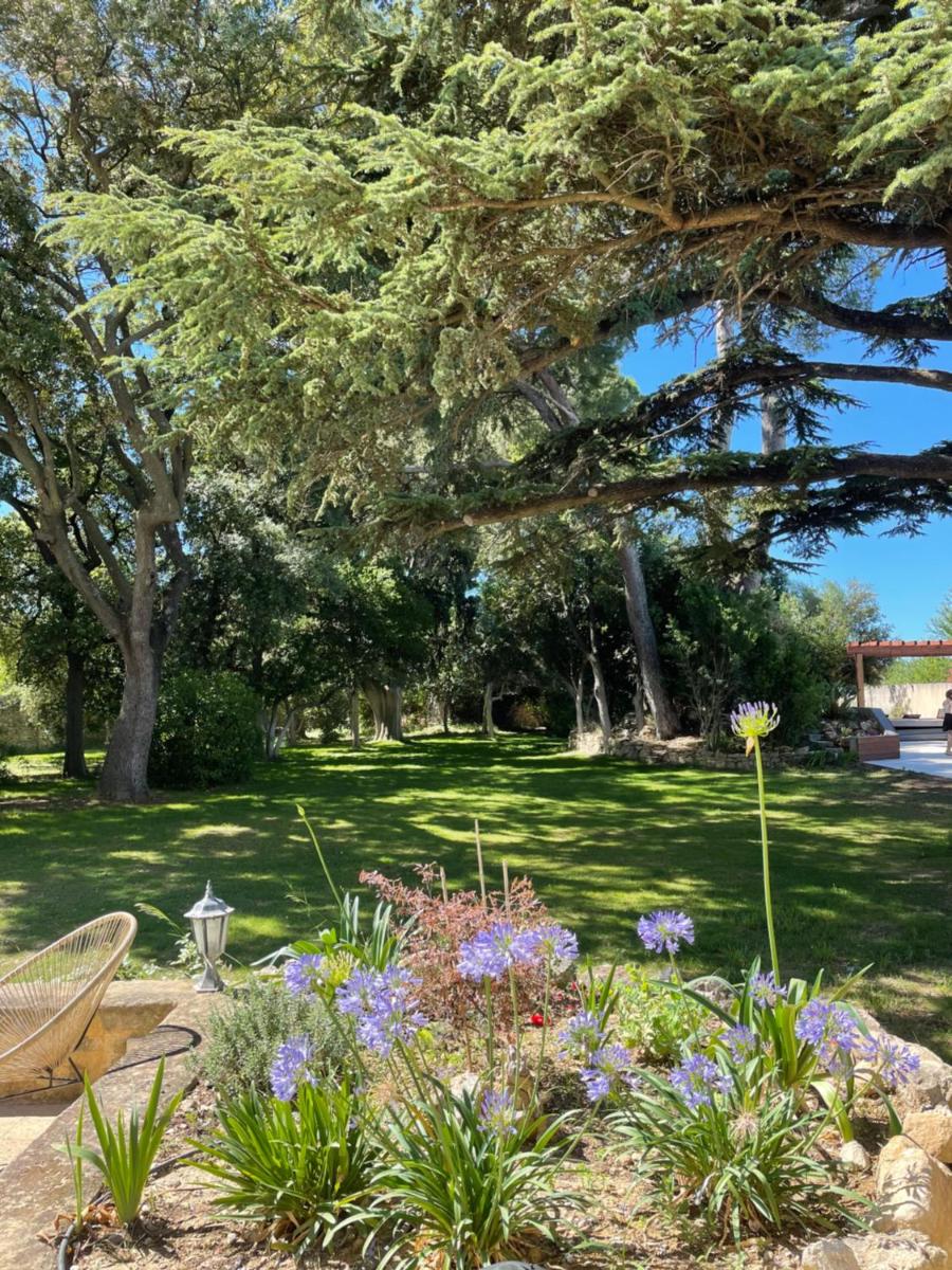 Montpellier Vacations - Mas Hinaiti - Suite romantique avec Spa et ecran geant de cinema - Property Image 17