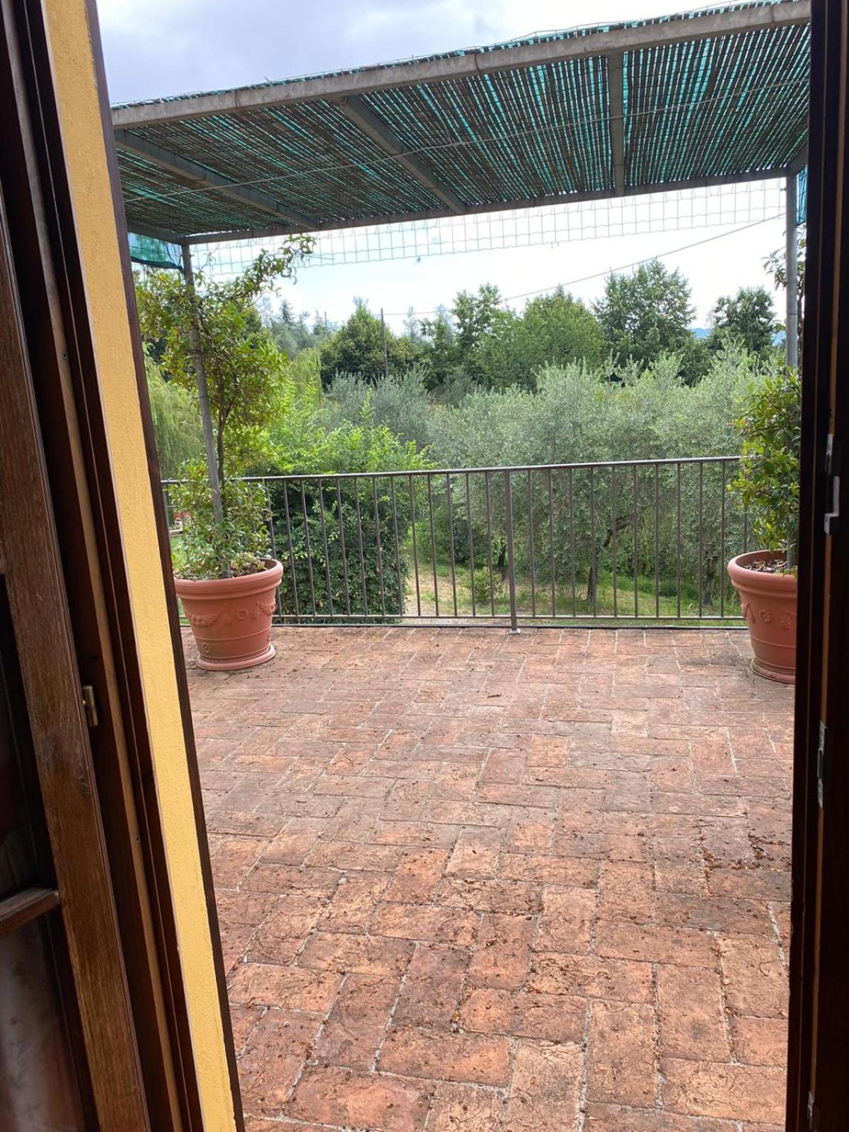 Tenuta degli Obizzi