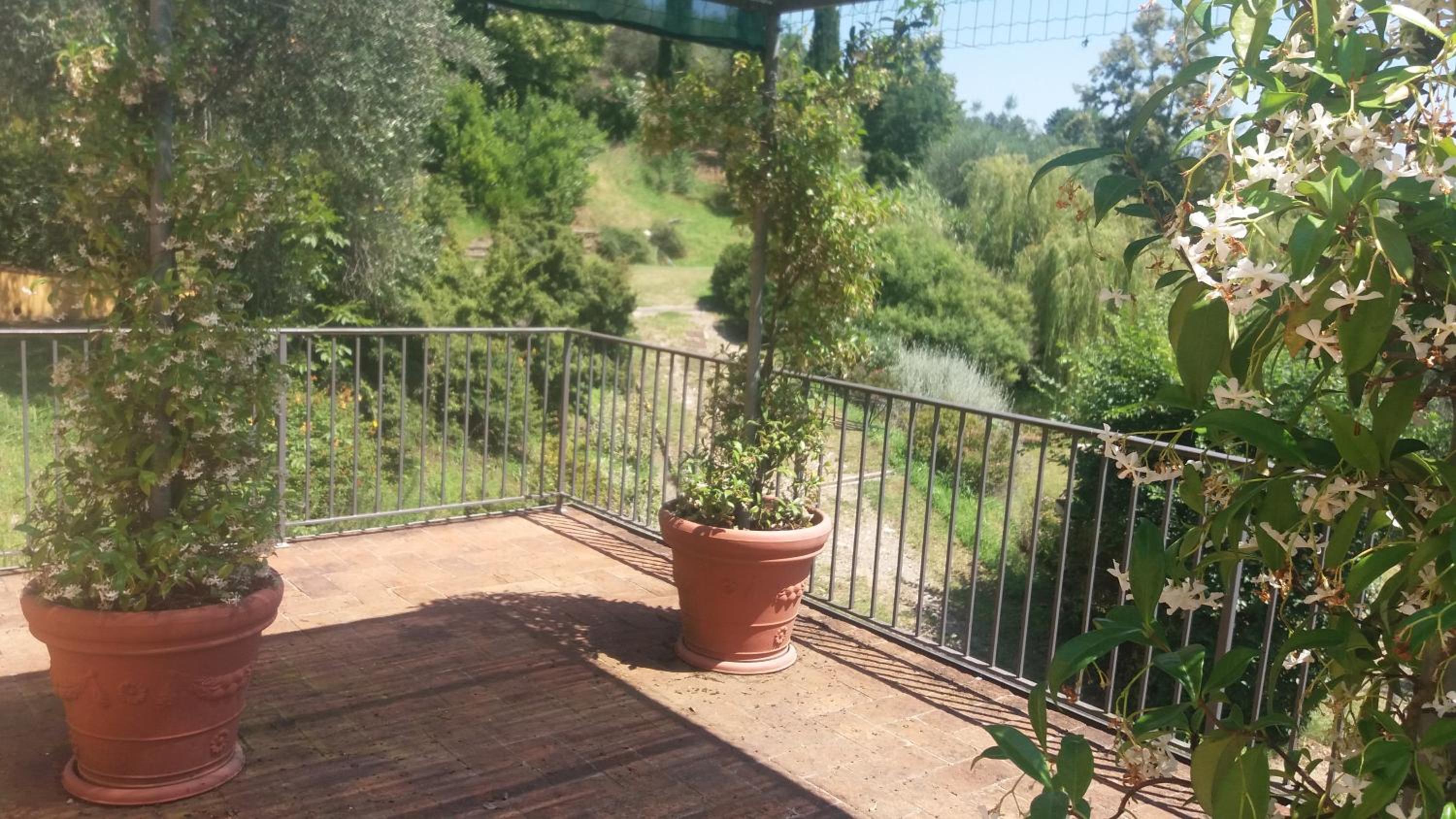 Tenuta degli Obizzi