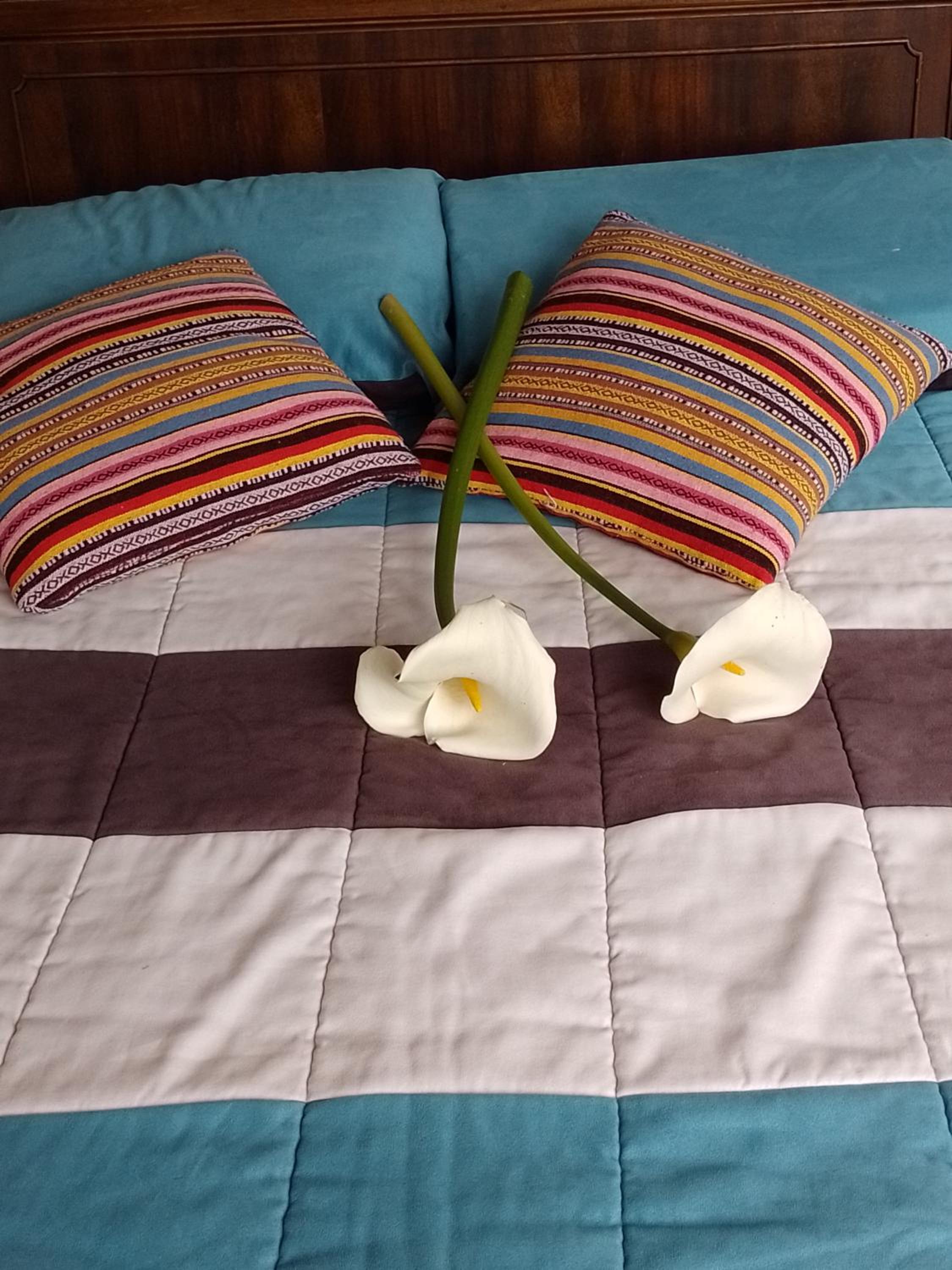 Glamping Bosque del Colibri