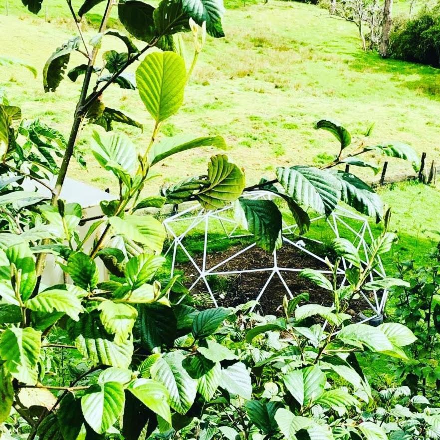Glamping Bosque del Colibri