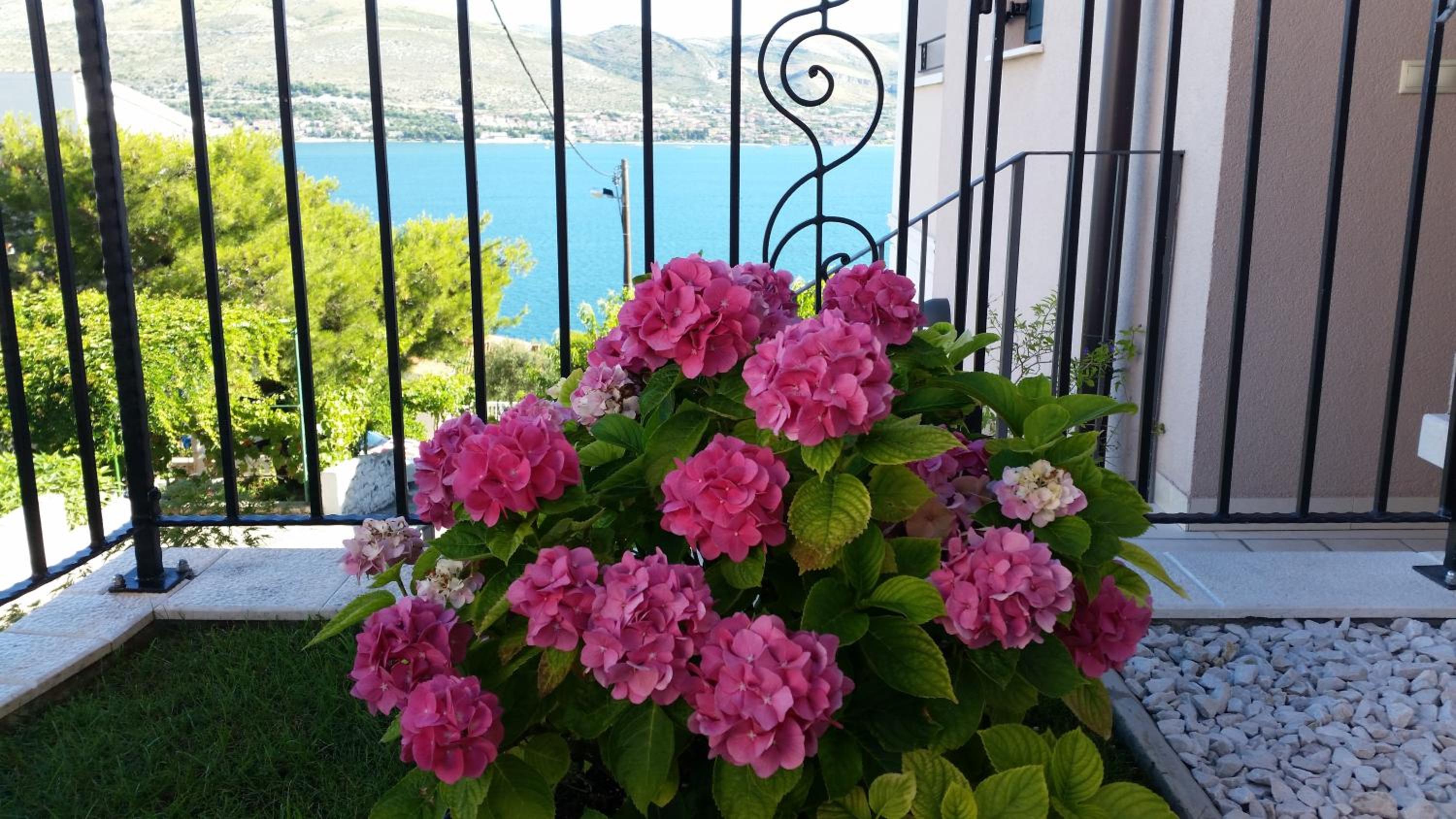 Villa Novak