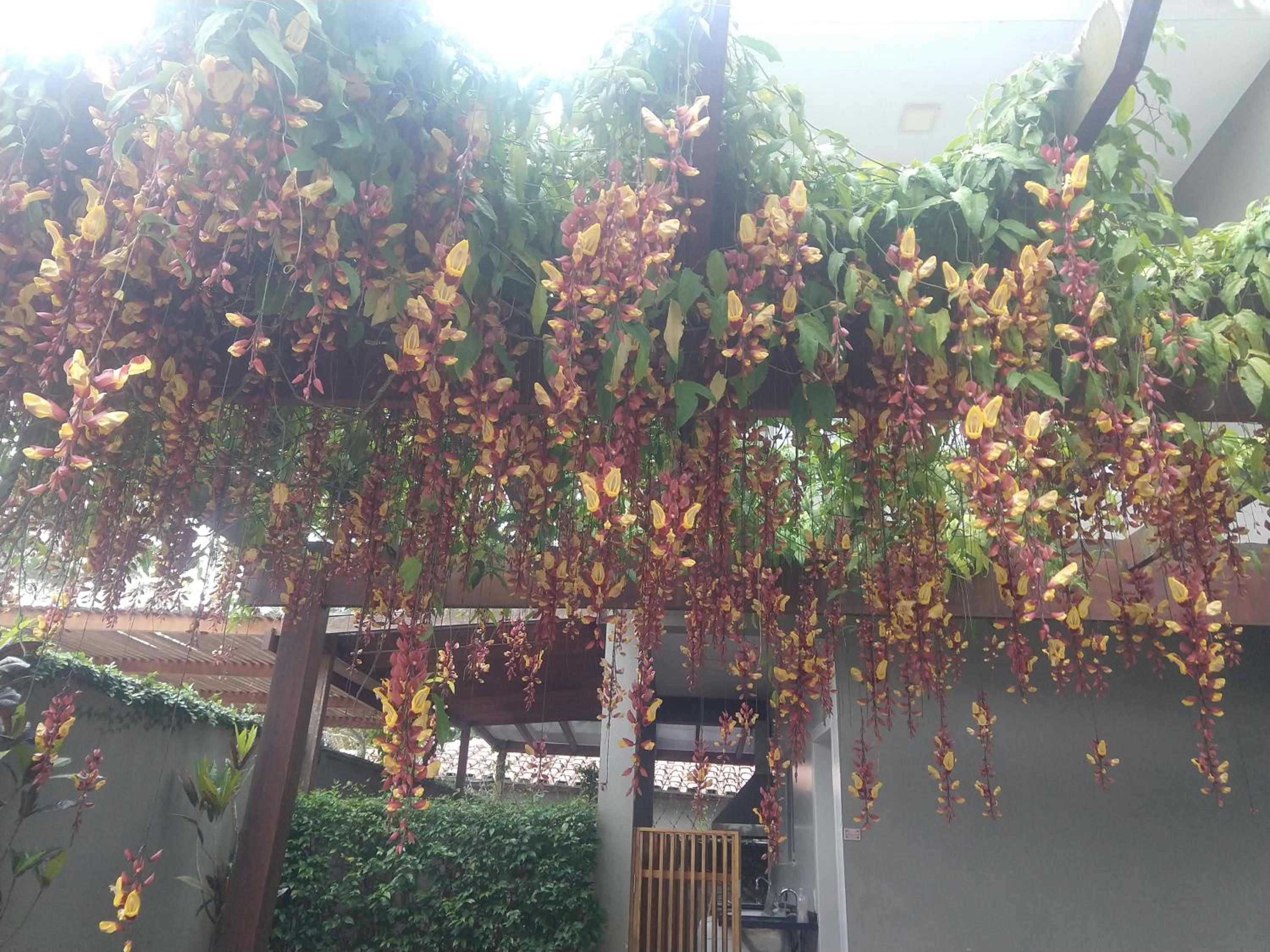 Casa em condomínio fechado, ambiente familiar