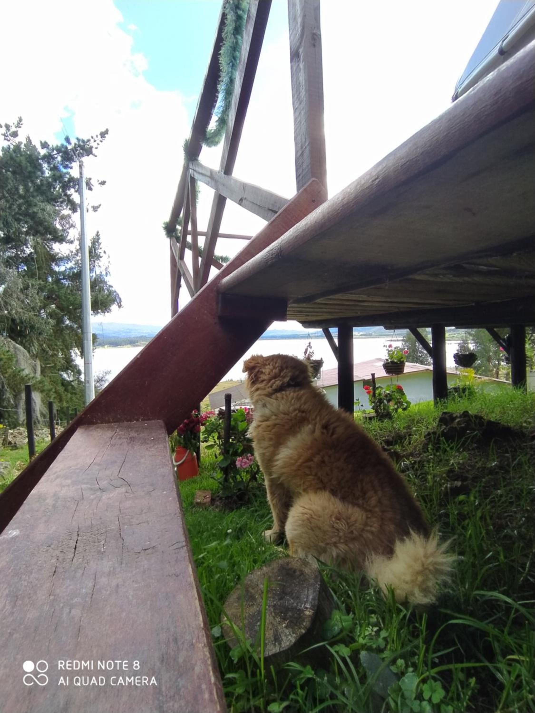 Glamping Chinu view 2
