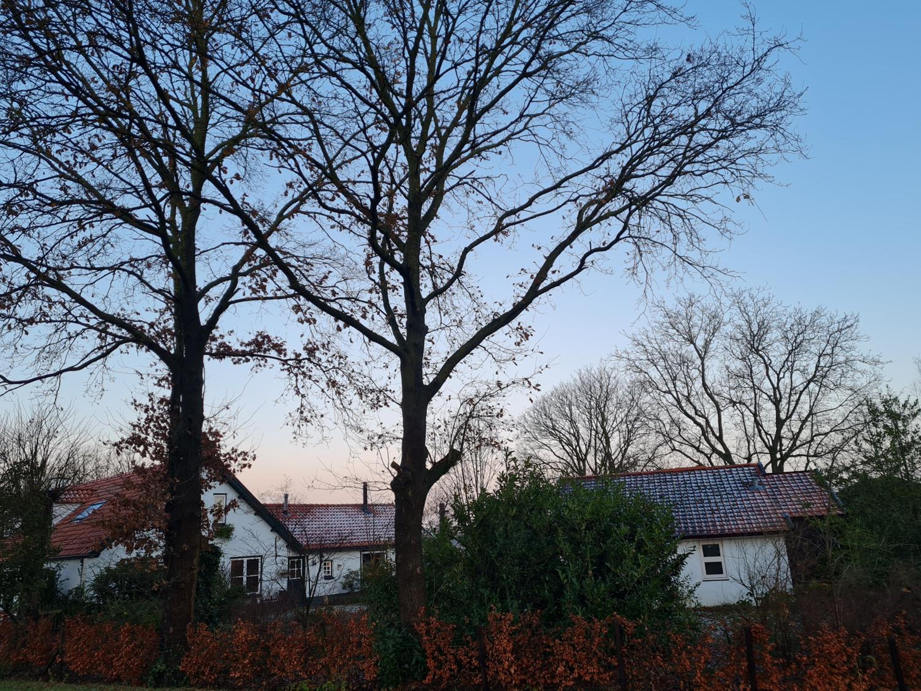 Photo 52