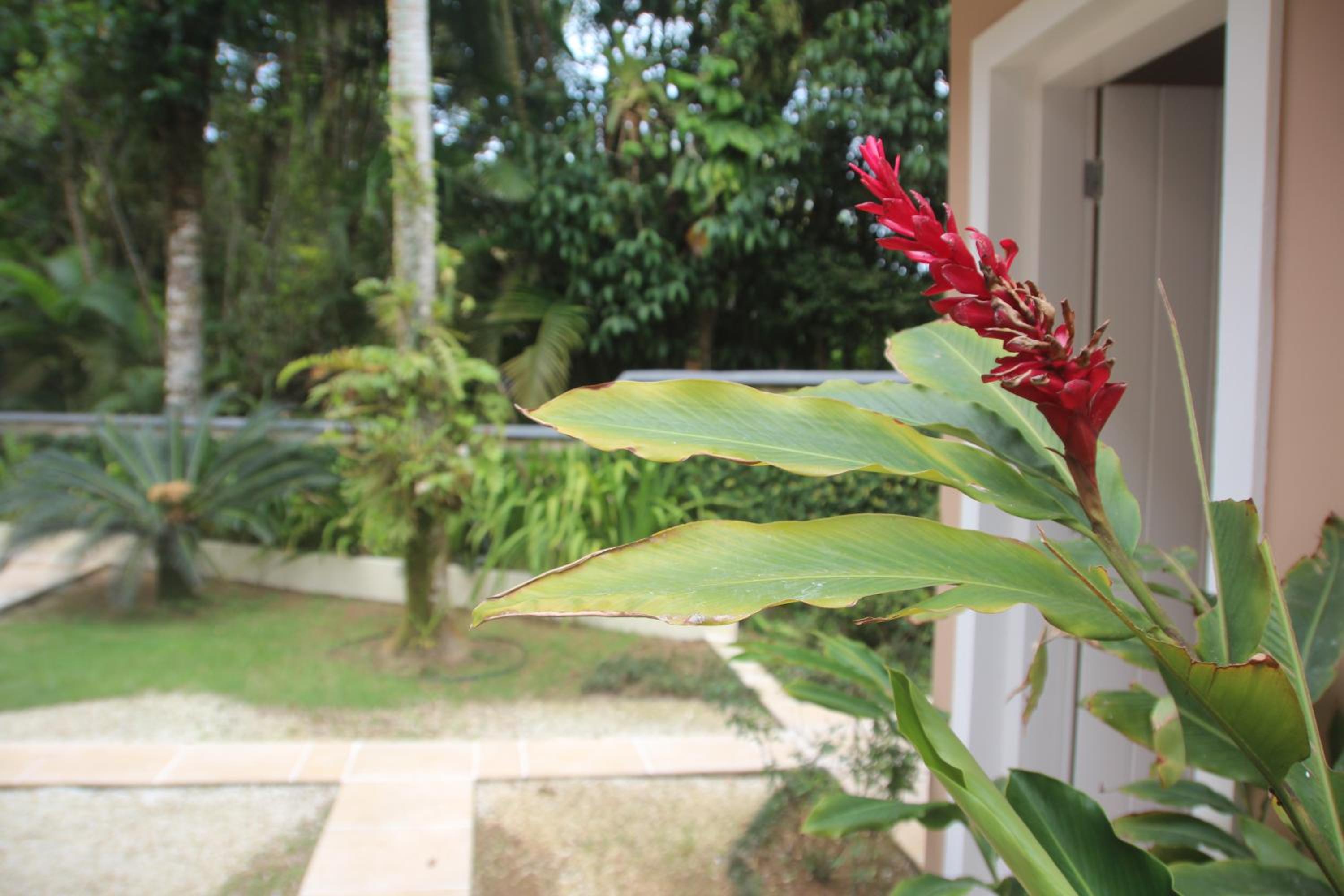 Casa em Condomínio, PÉ NA AREIA, praia Guaratuba