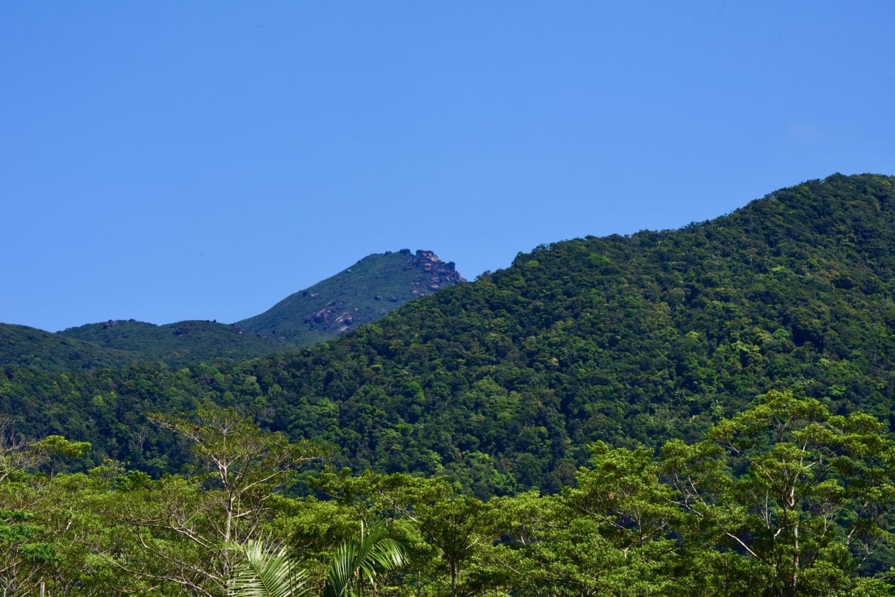 Daintree Peaks ECO Stays