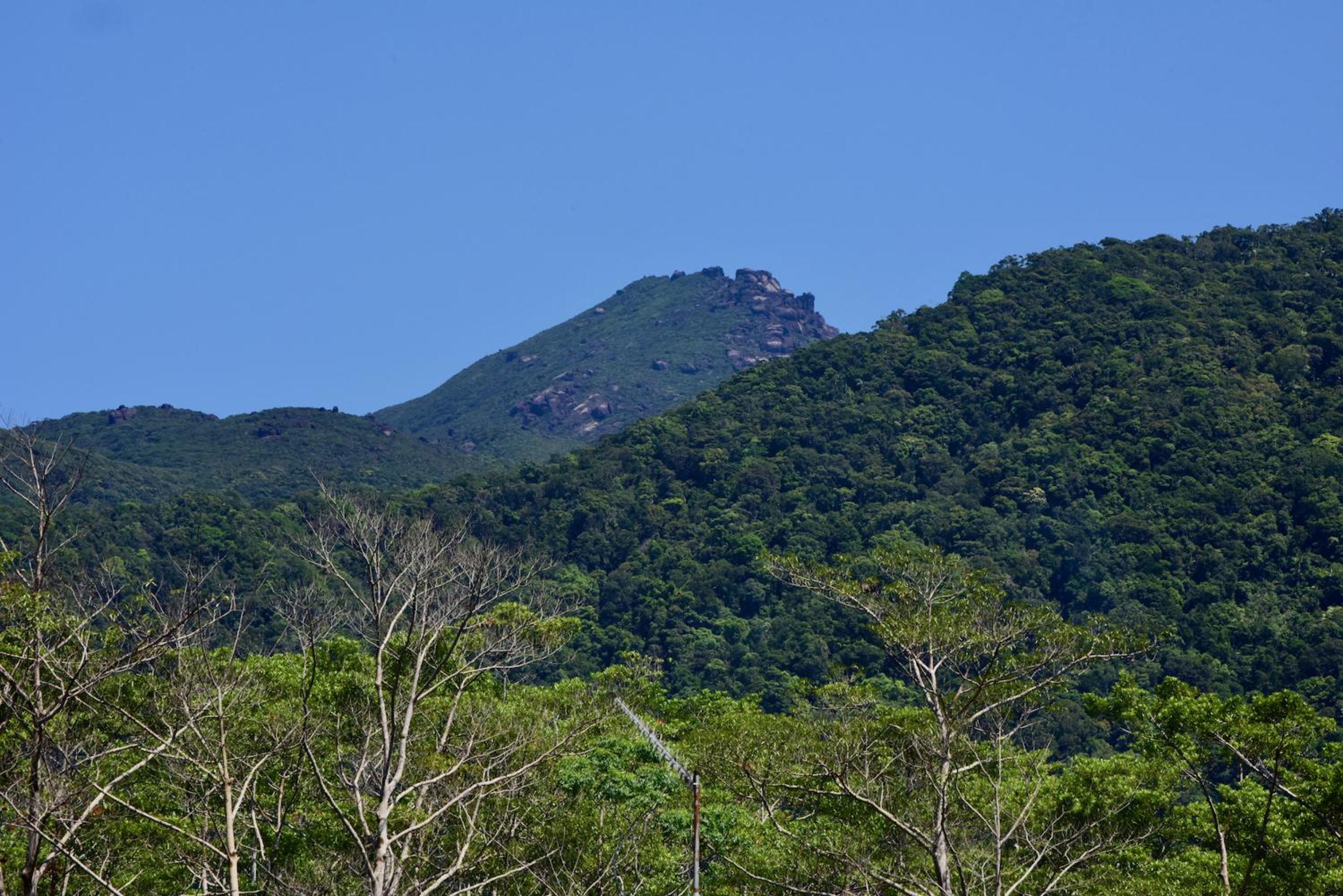 Daintree Peaks ECO Stays