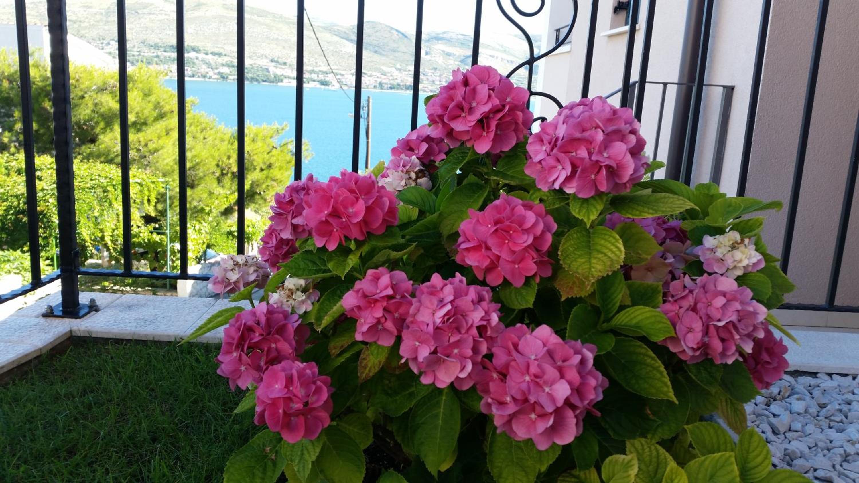 Apartments Villa Novak 1