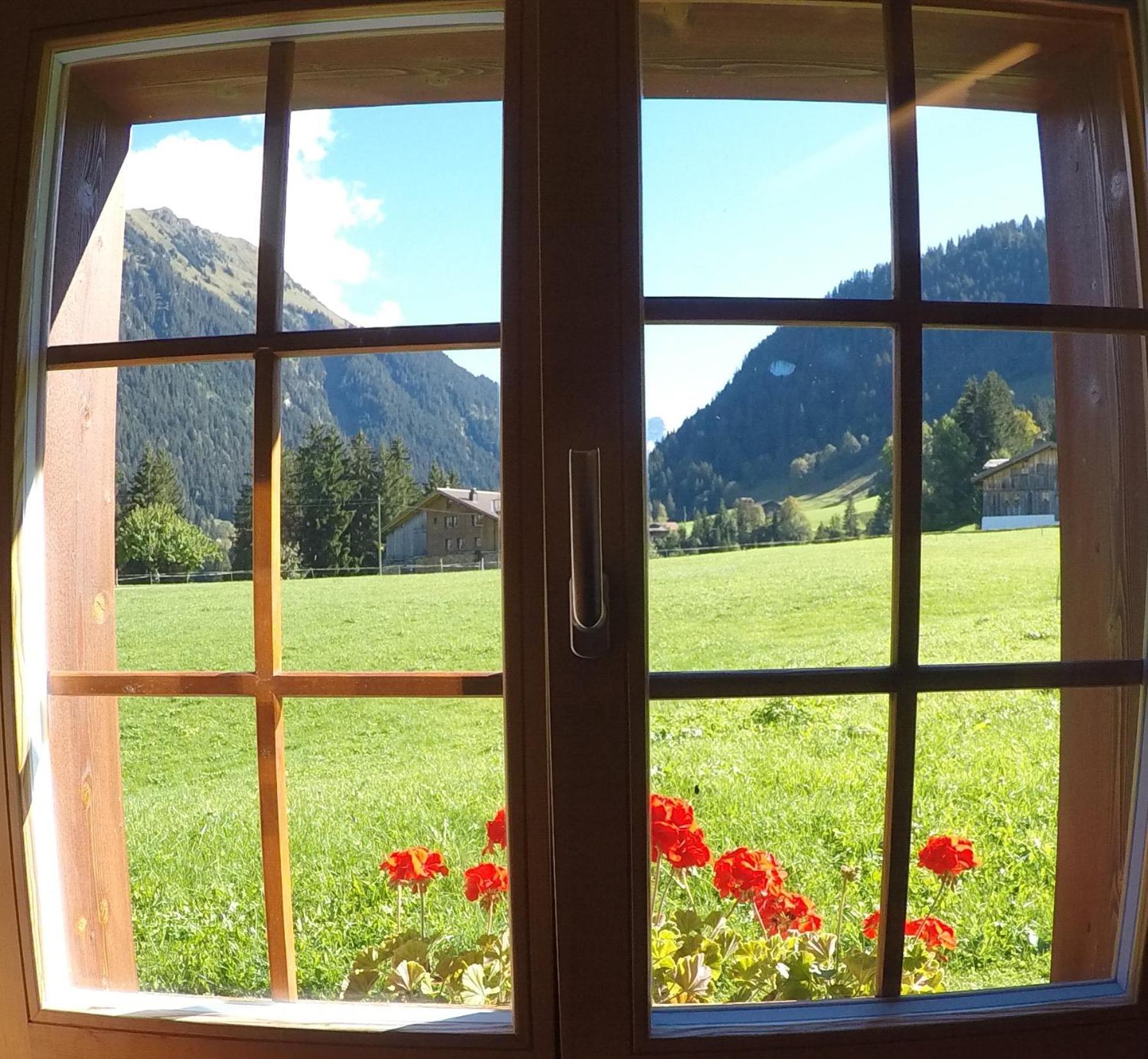 Alpenchalet Weidhaus Gstaad - Dachwohnung - Studio - Stockbettzimmer