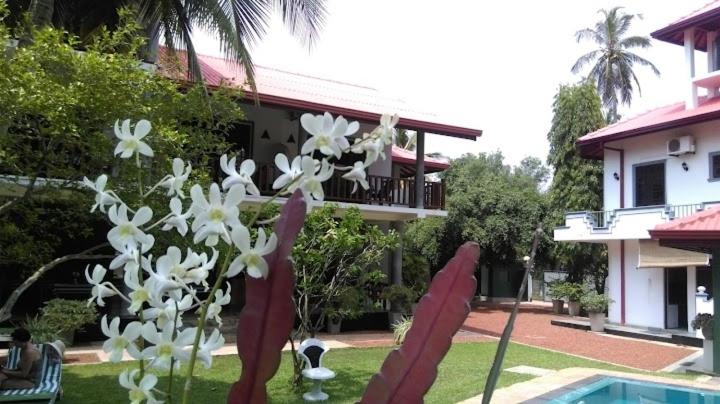 Canal Villa