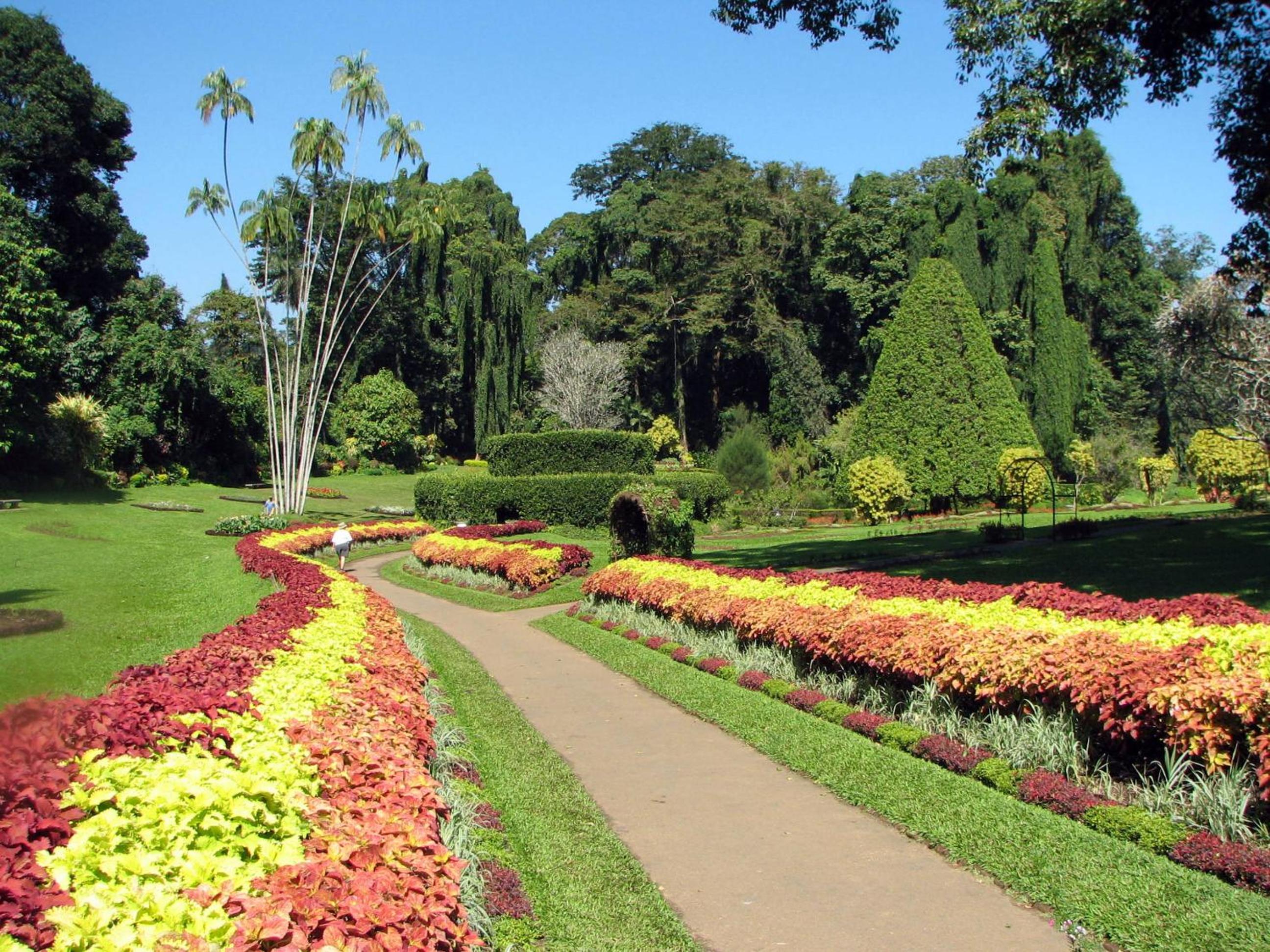 Kandy Cabana, photo 64